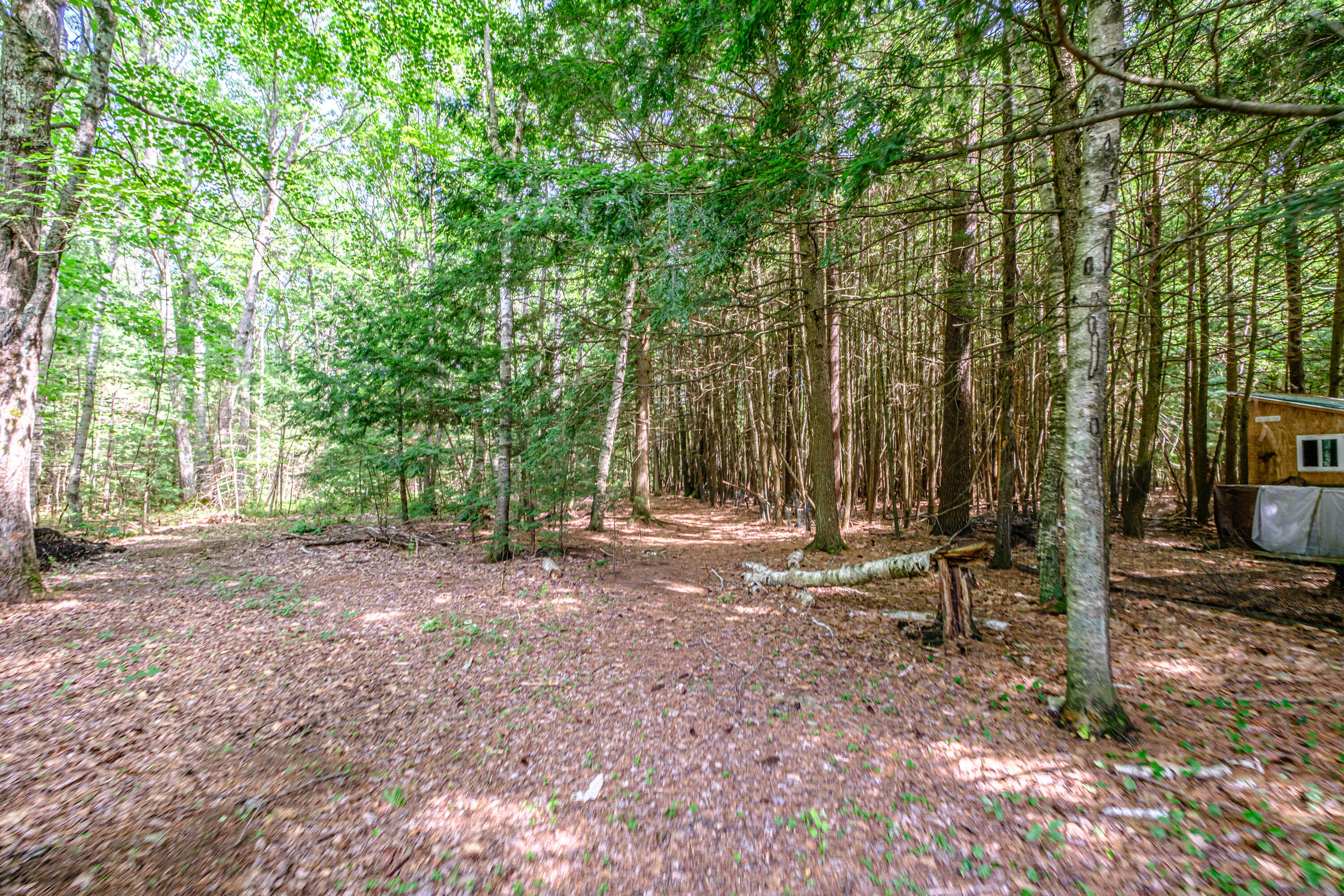 main property photo 48