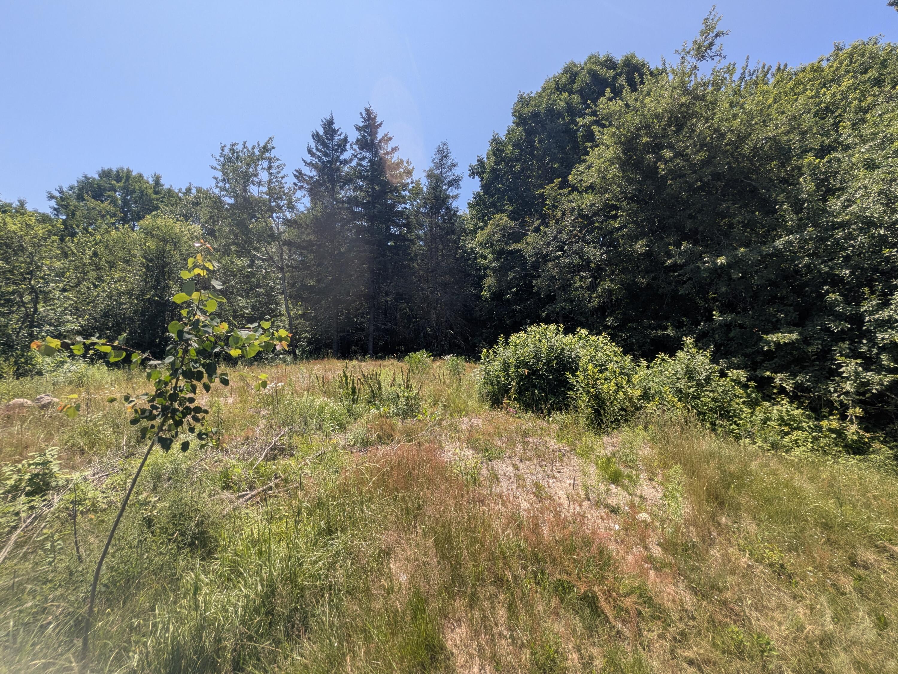 main property photo 46