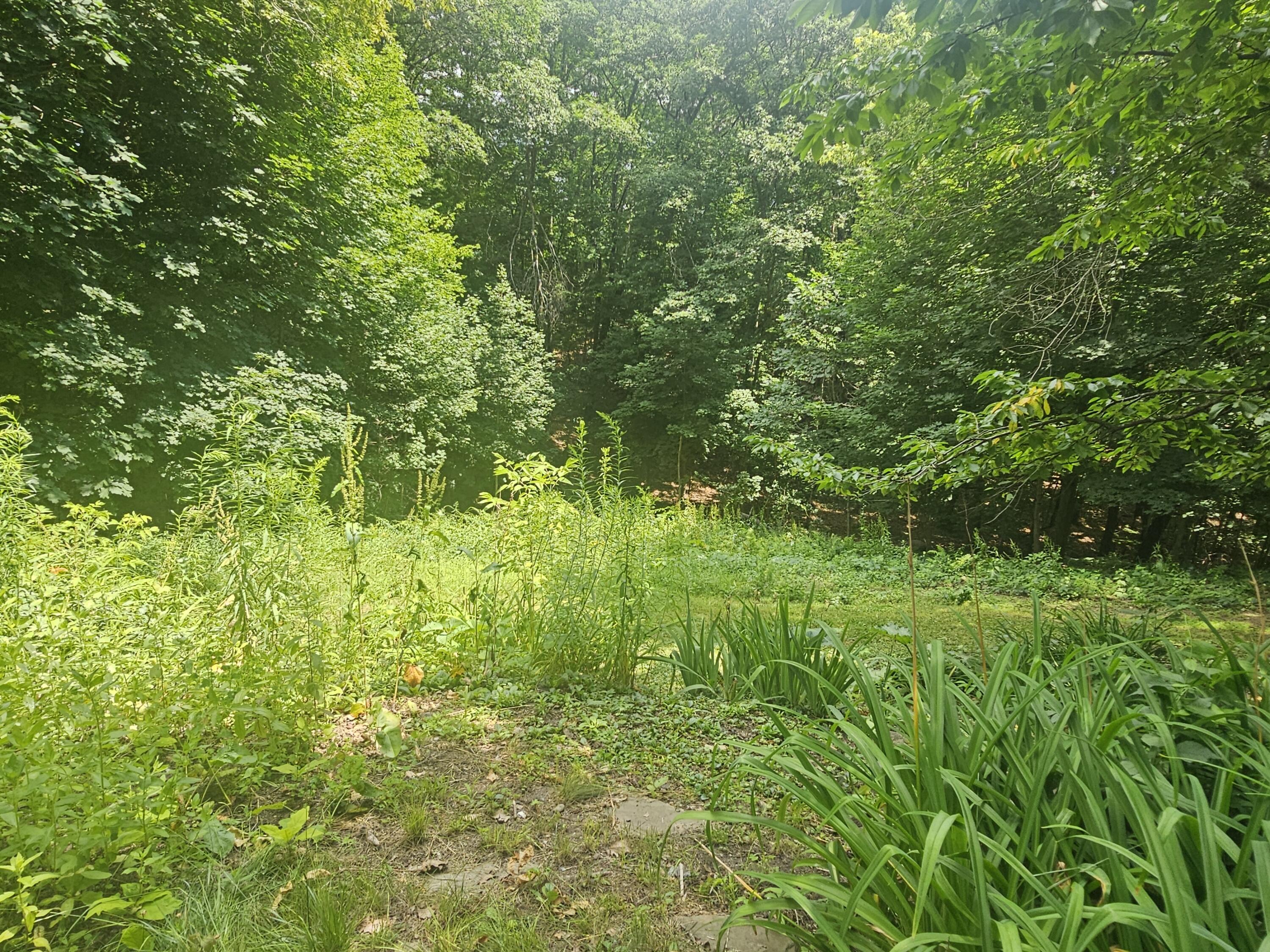 main property photo 41