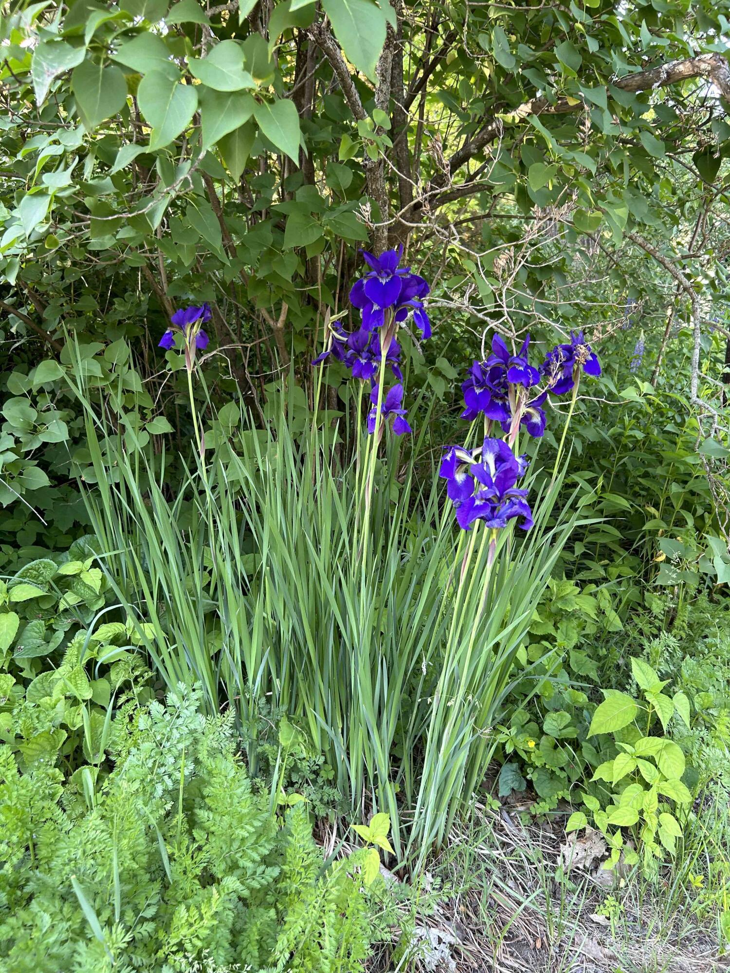 main property photo 44