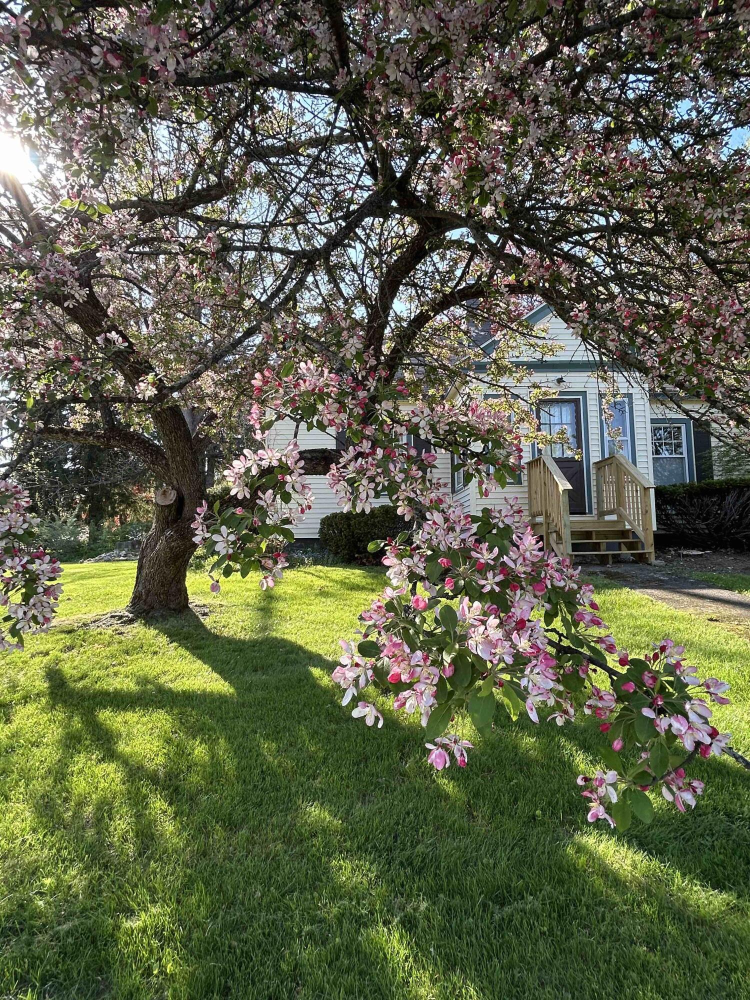 main property photo 56