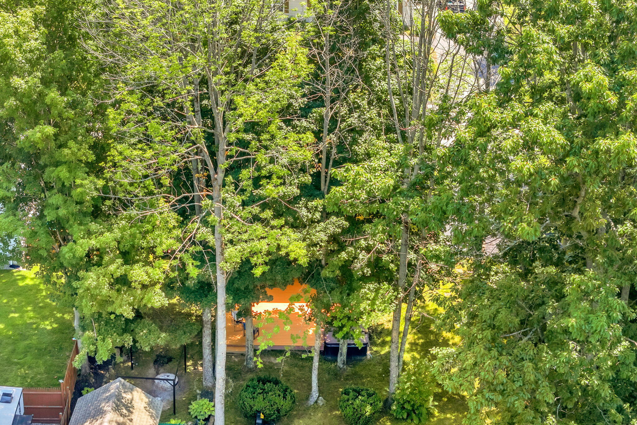 main property photo 46