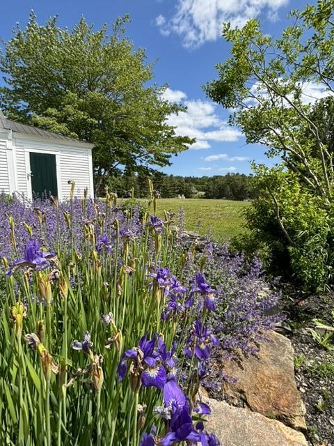 main property photo 46