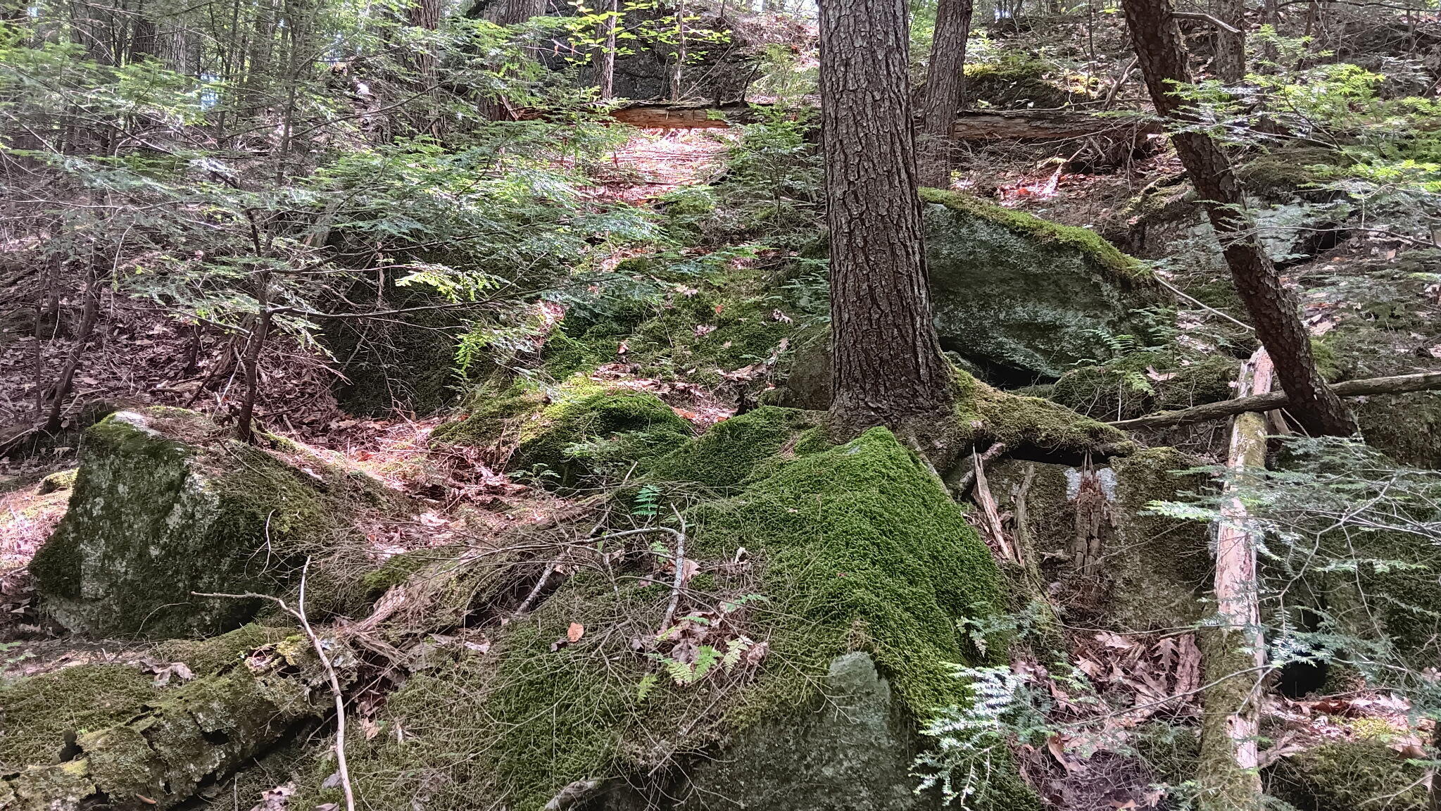 main property photo 14