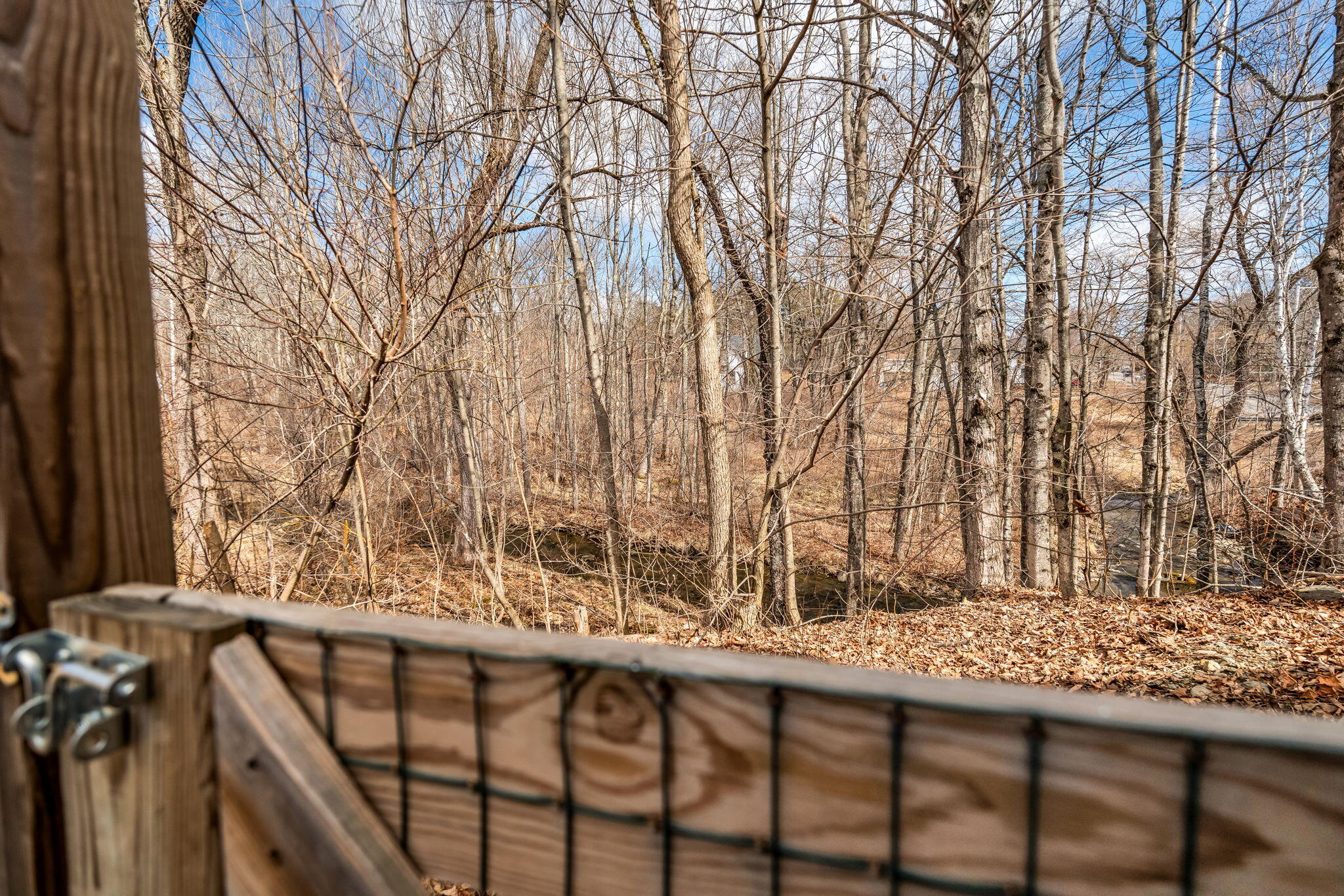 main property photo 42