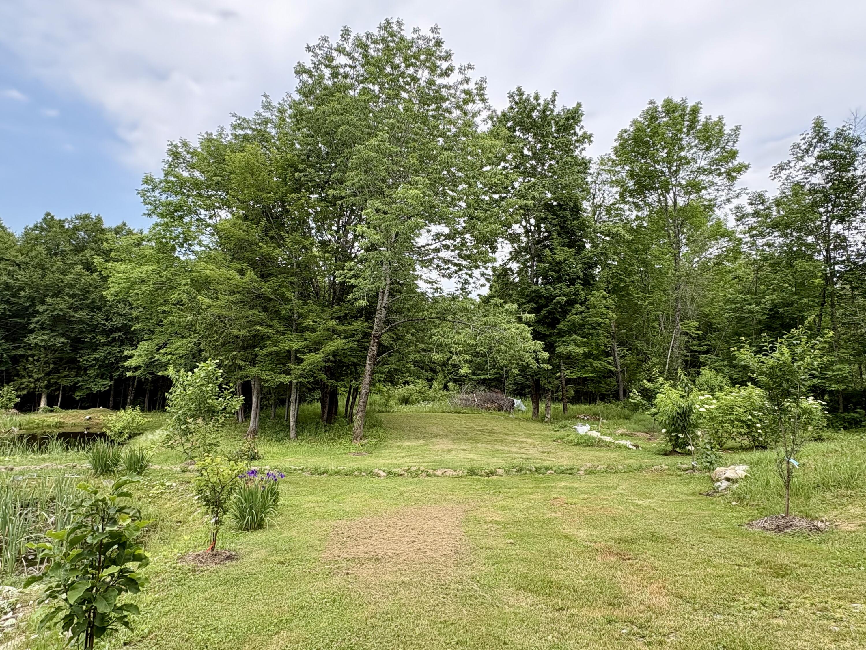 main property photo 64