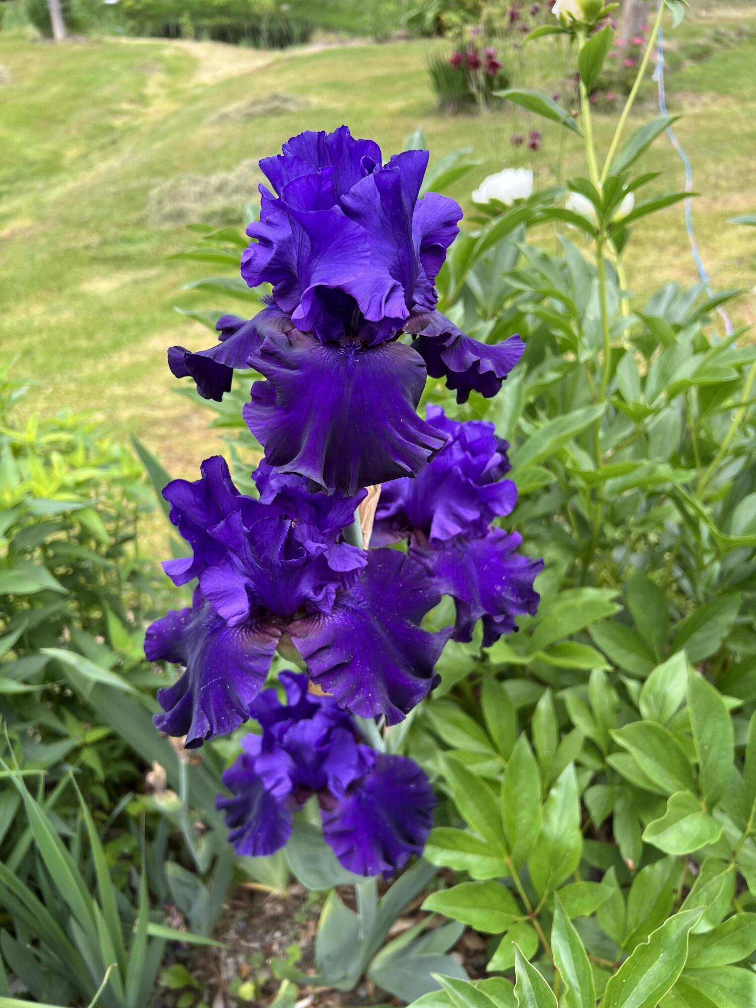 main property photo 77