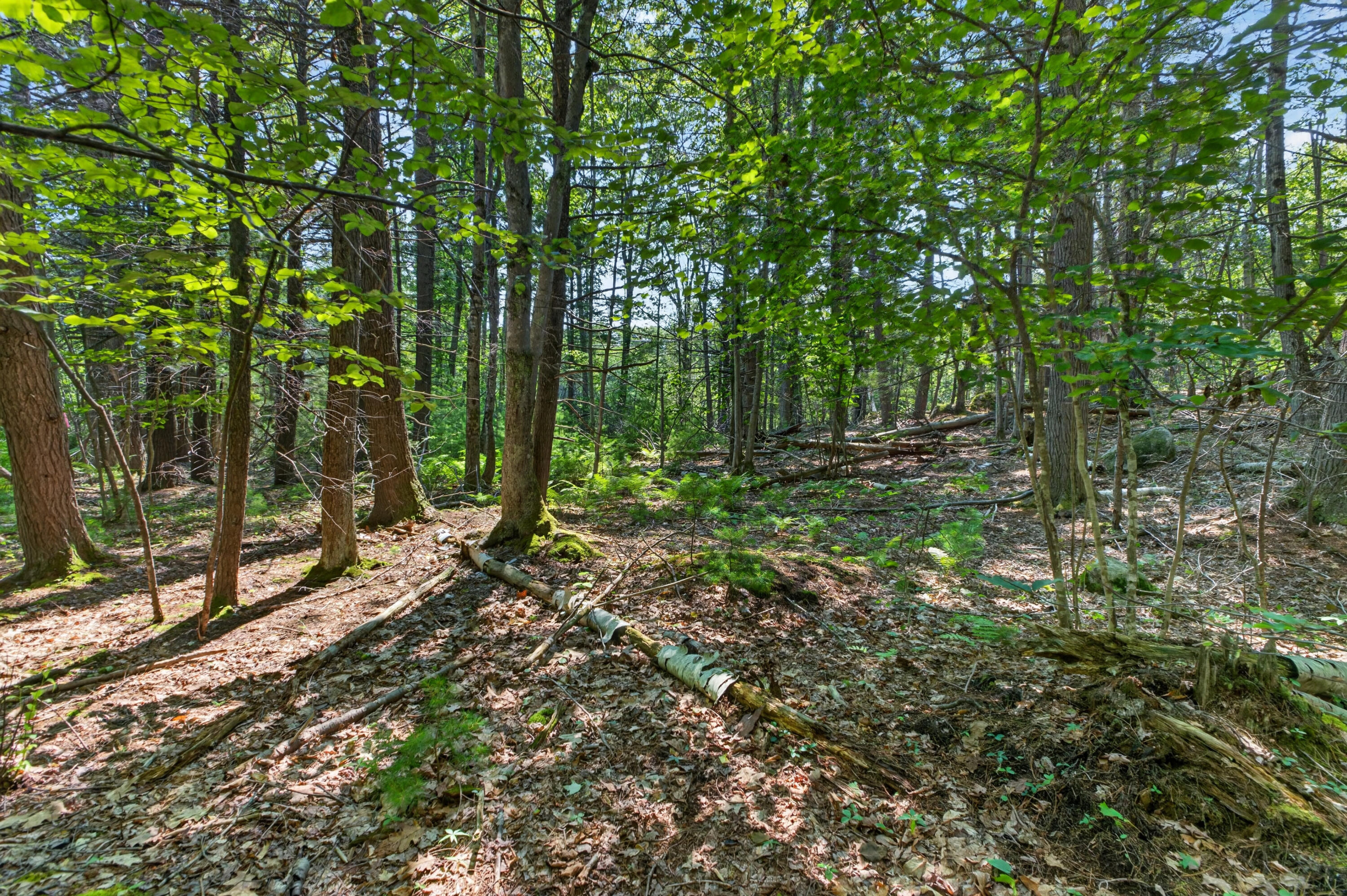 main property photo 13