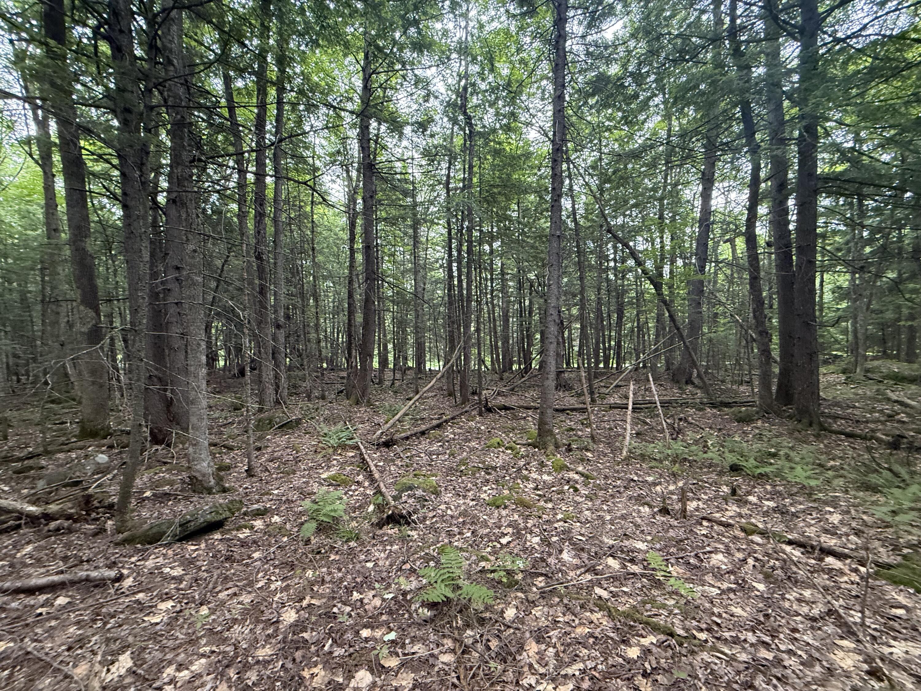 main property photo 10
