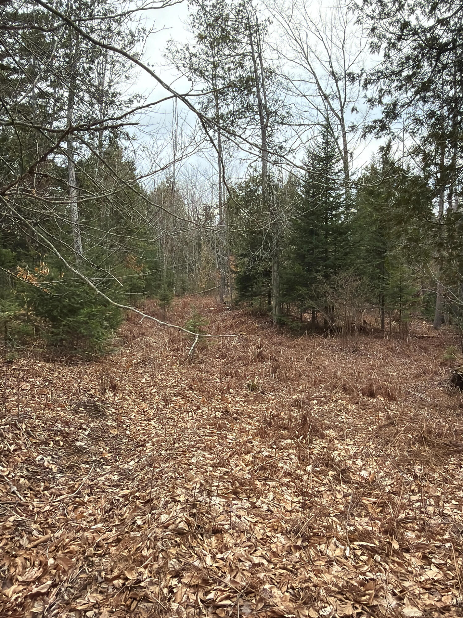 main property photo 37