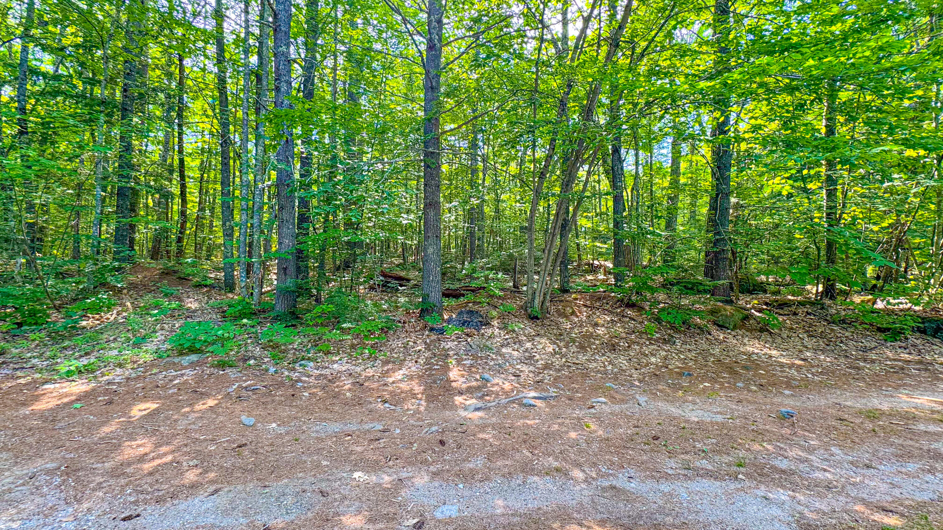 main property photo 69