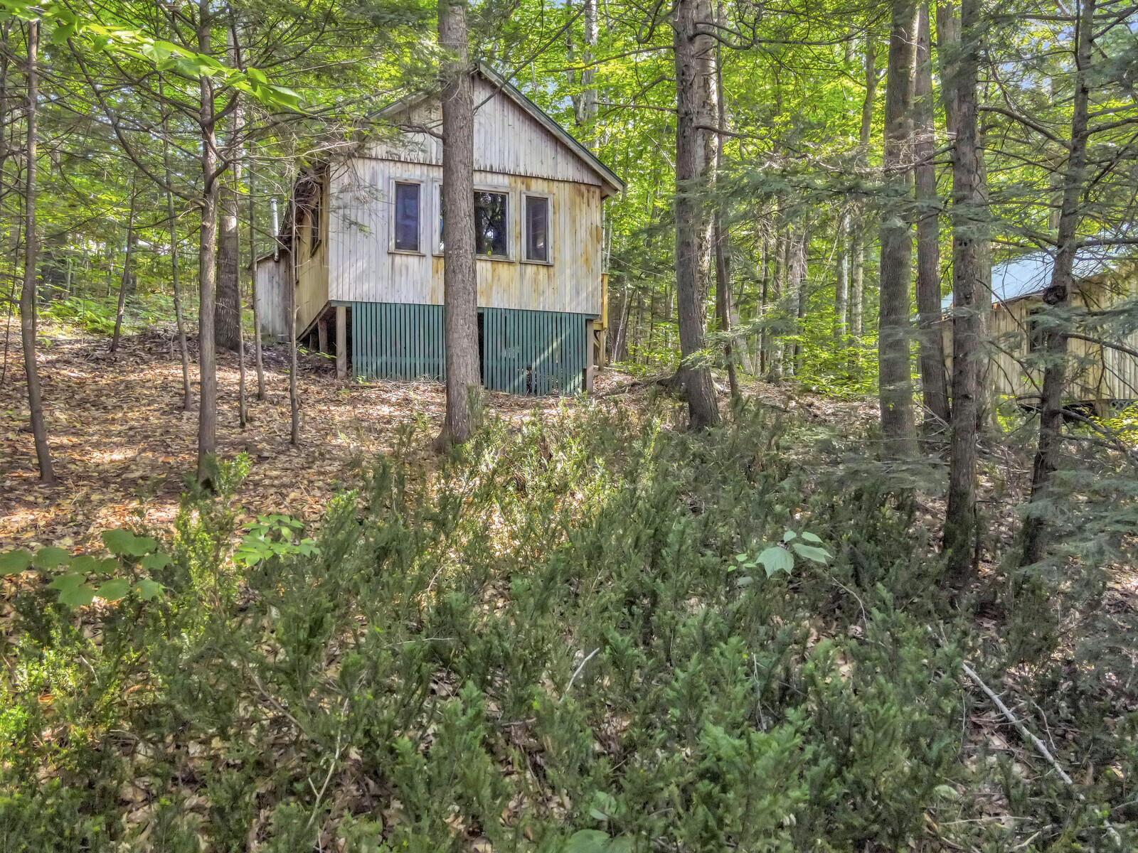 main property photo 97