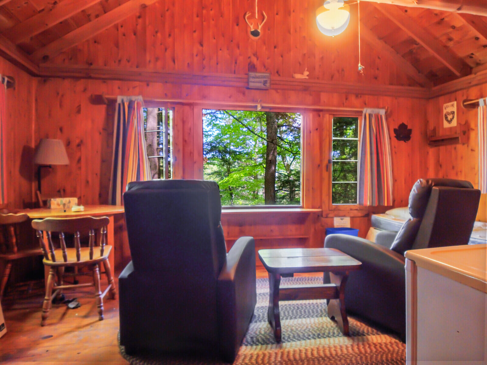 main property photo 98