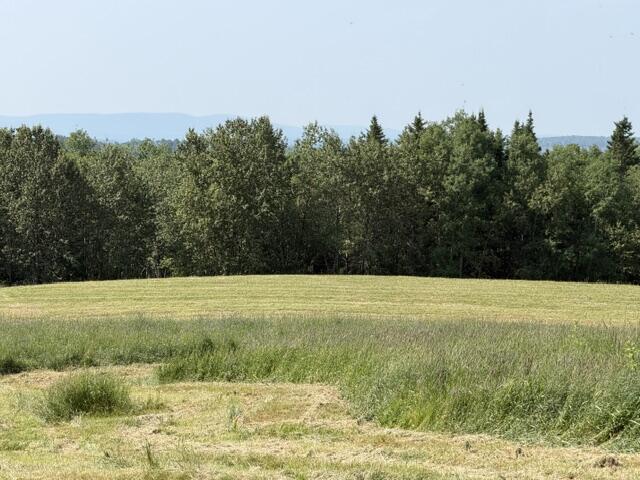 main property photo 116