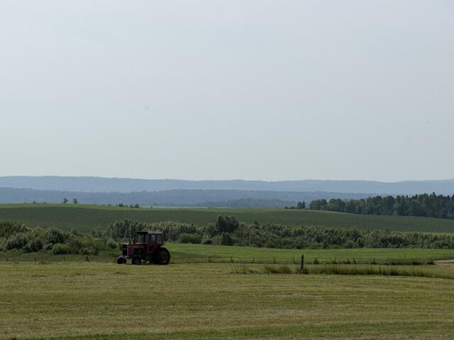 main property photo 118