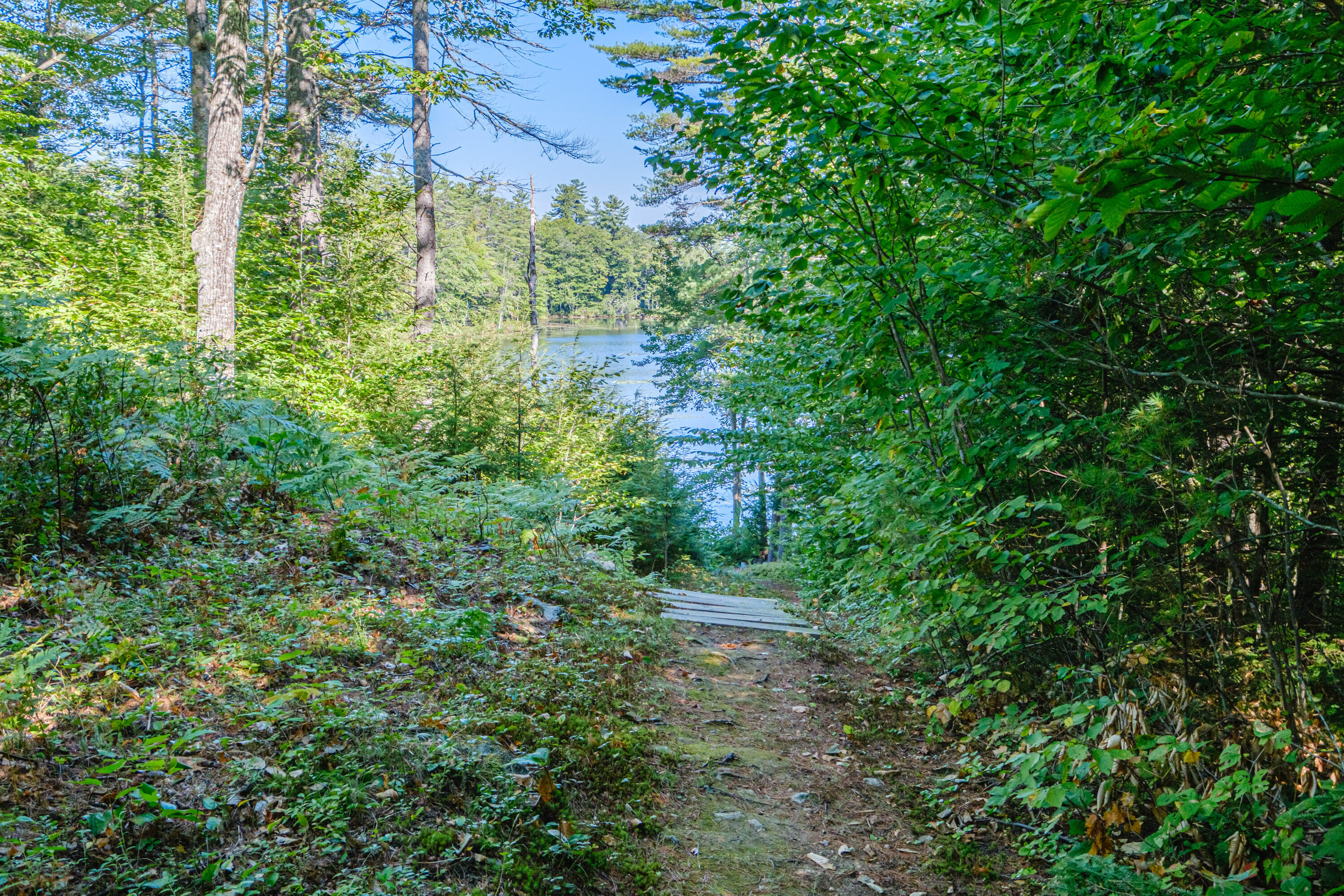main property photo 85