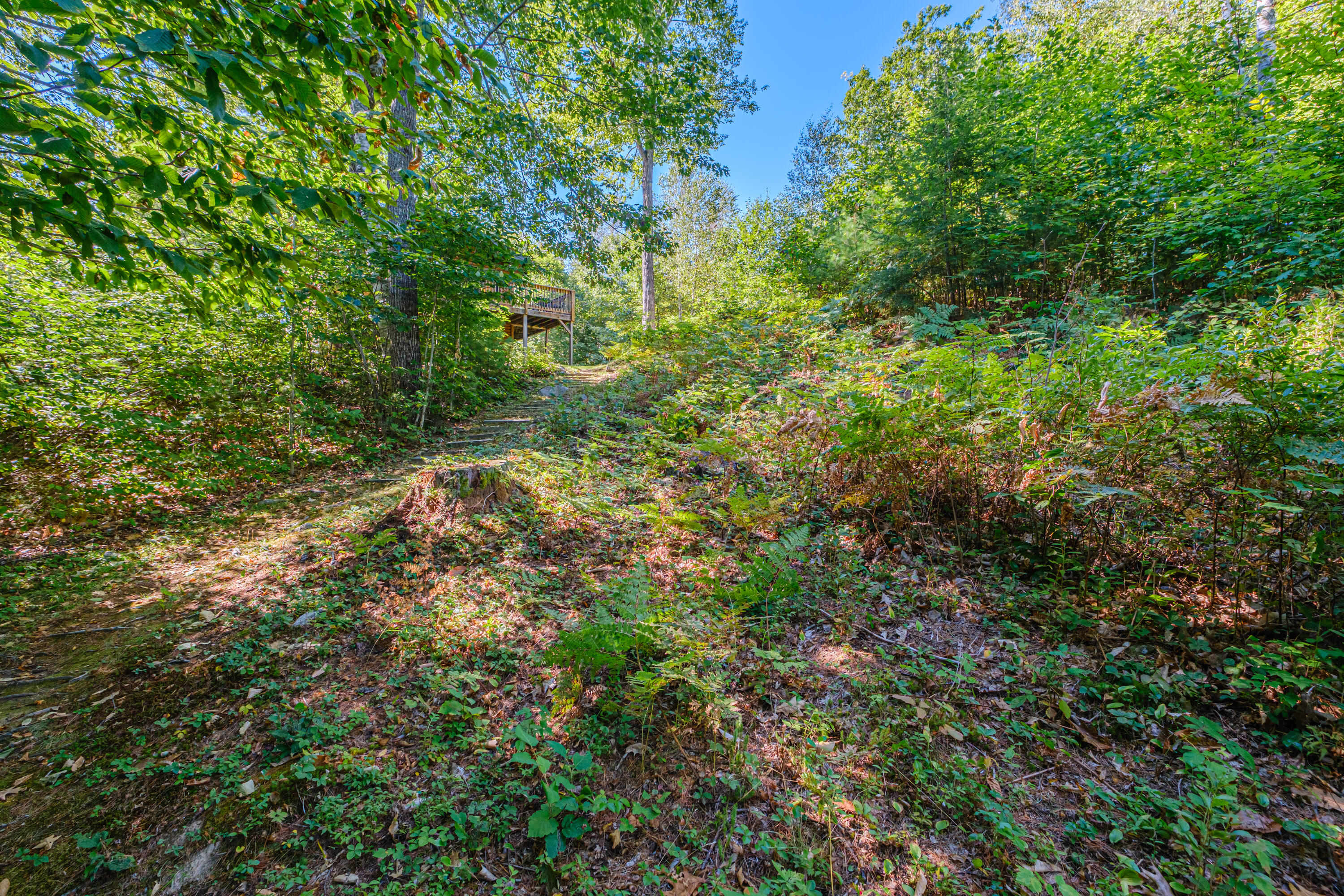 main property photo 86