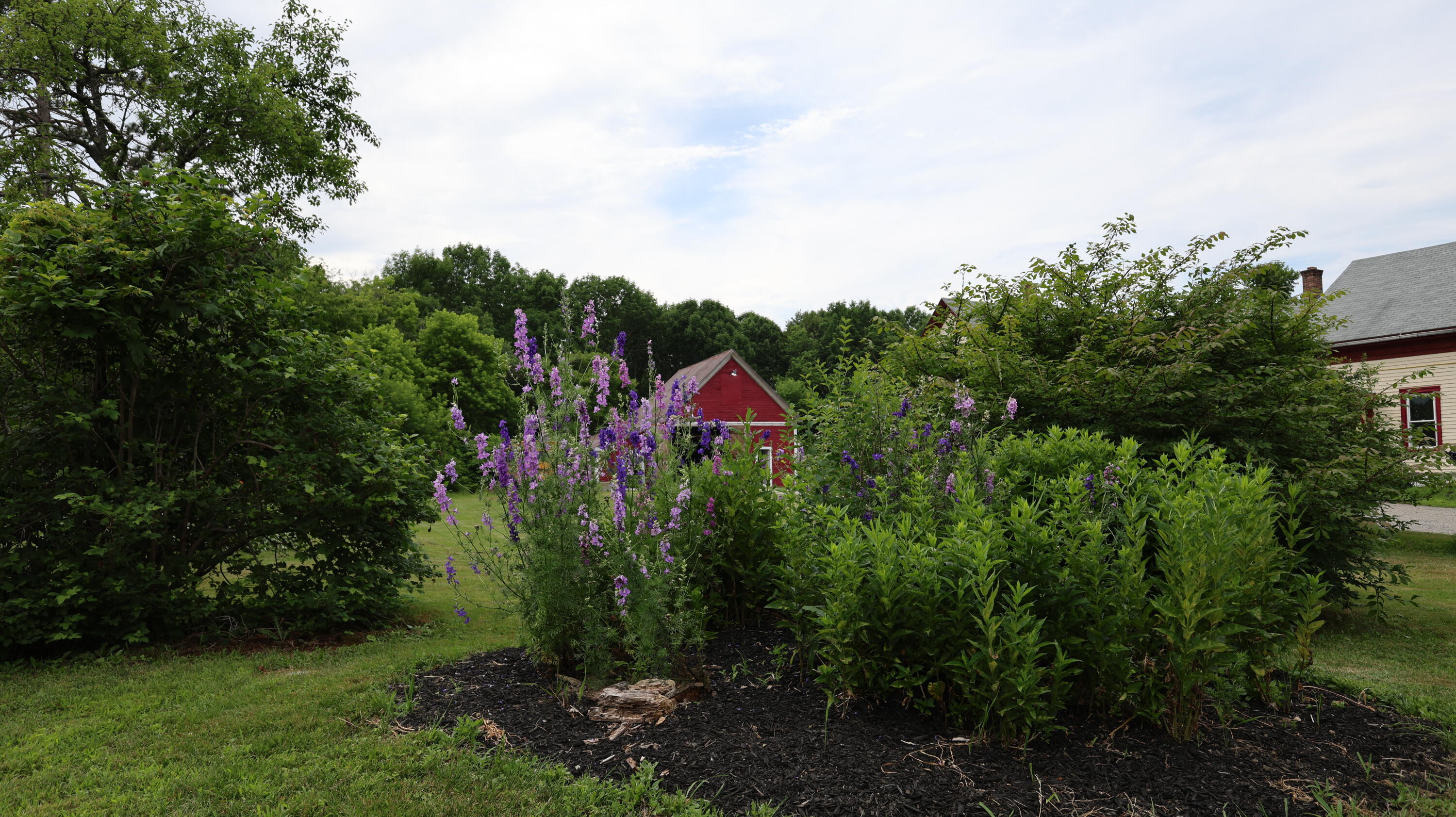 main property photo 14