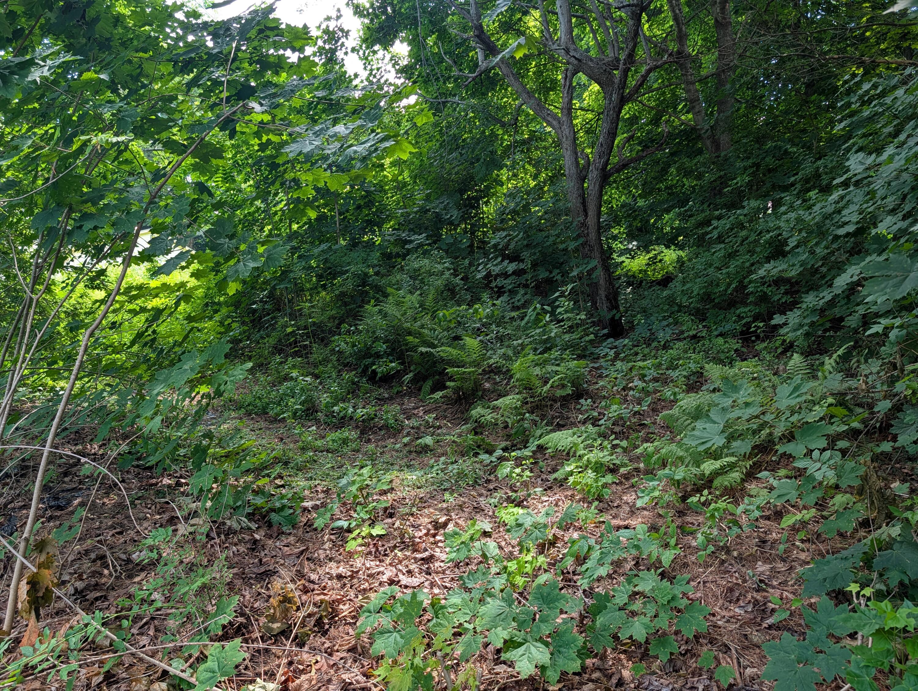 main property photo 42
