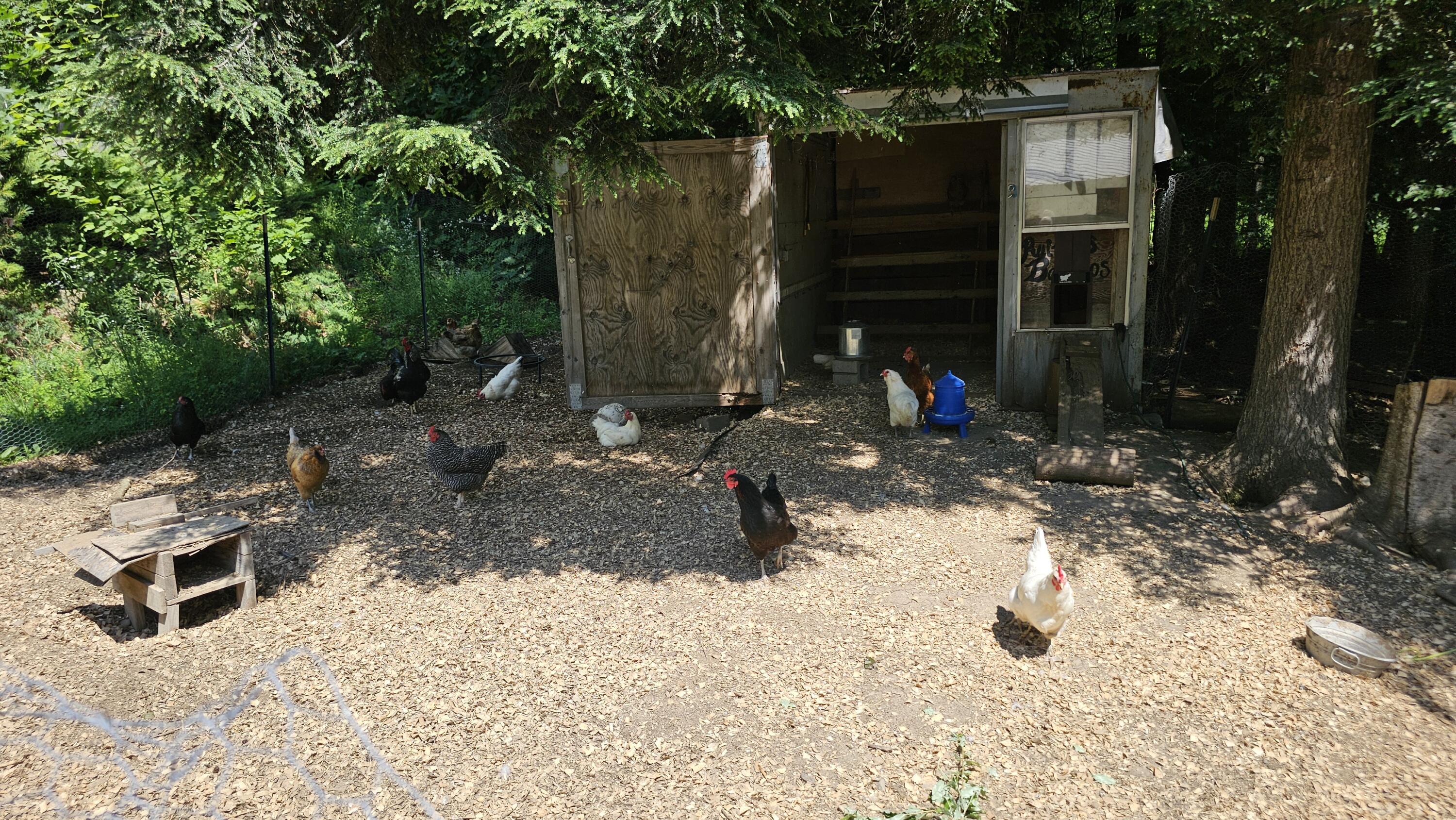 main property photo 38