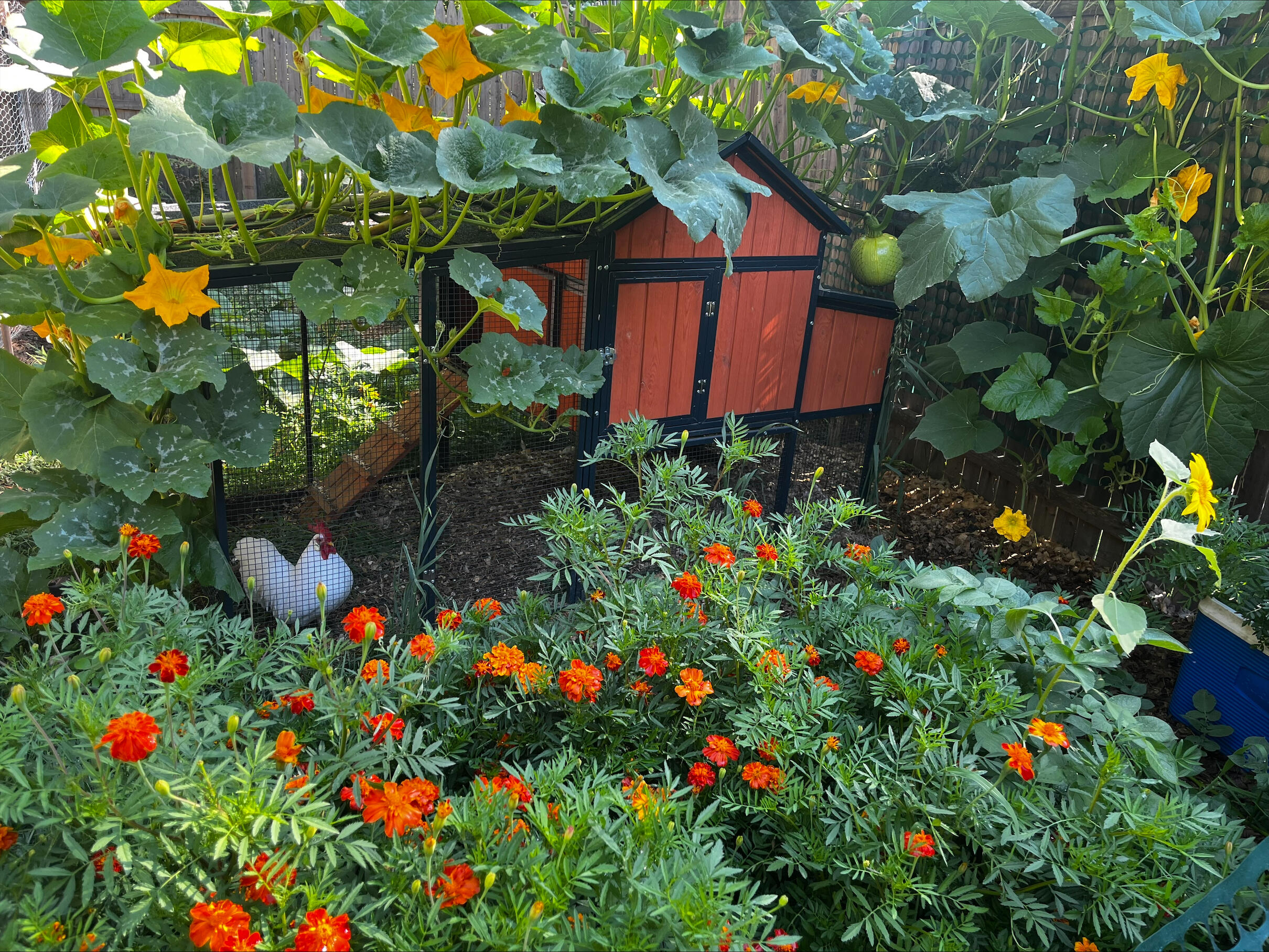 main property photo 44