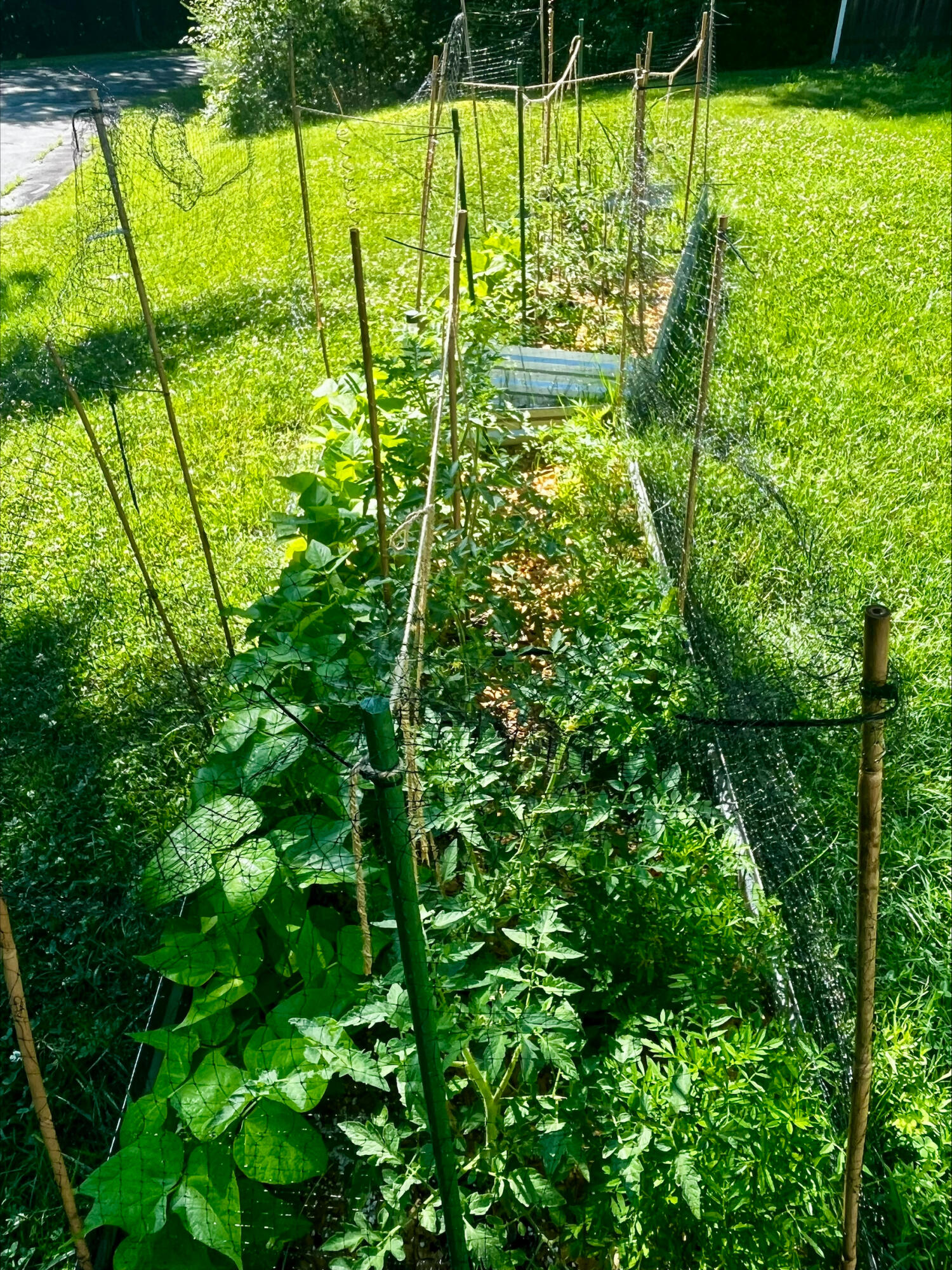 main property photo 48
