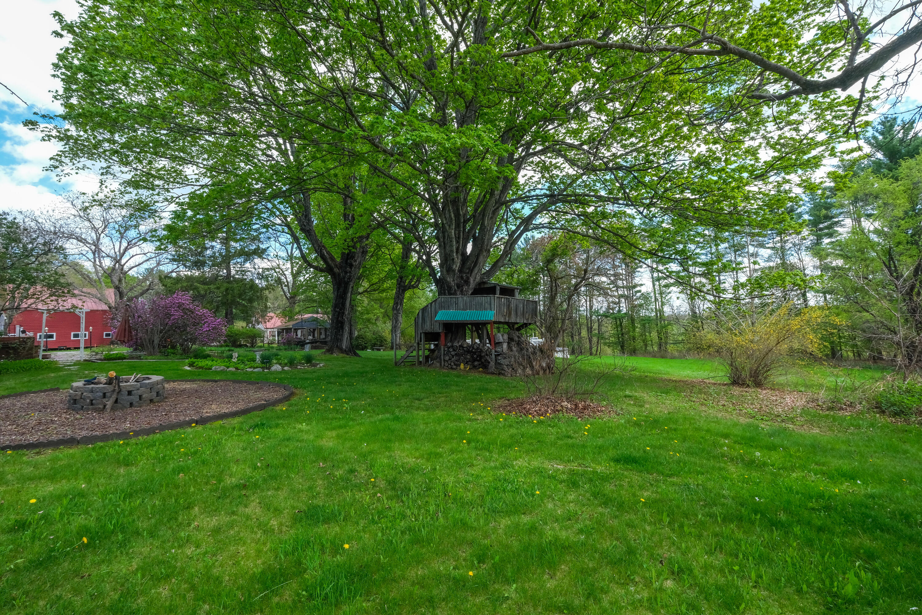 main property photo 98