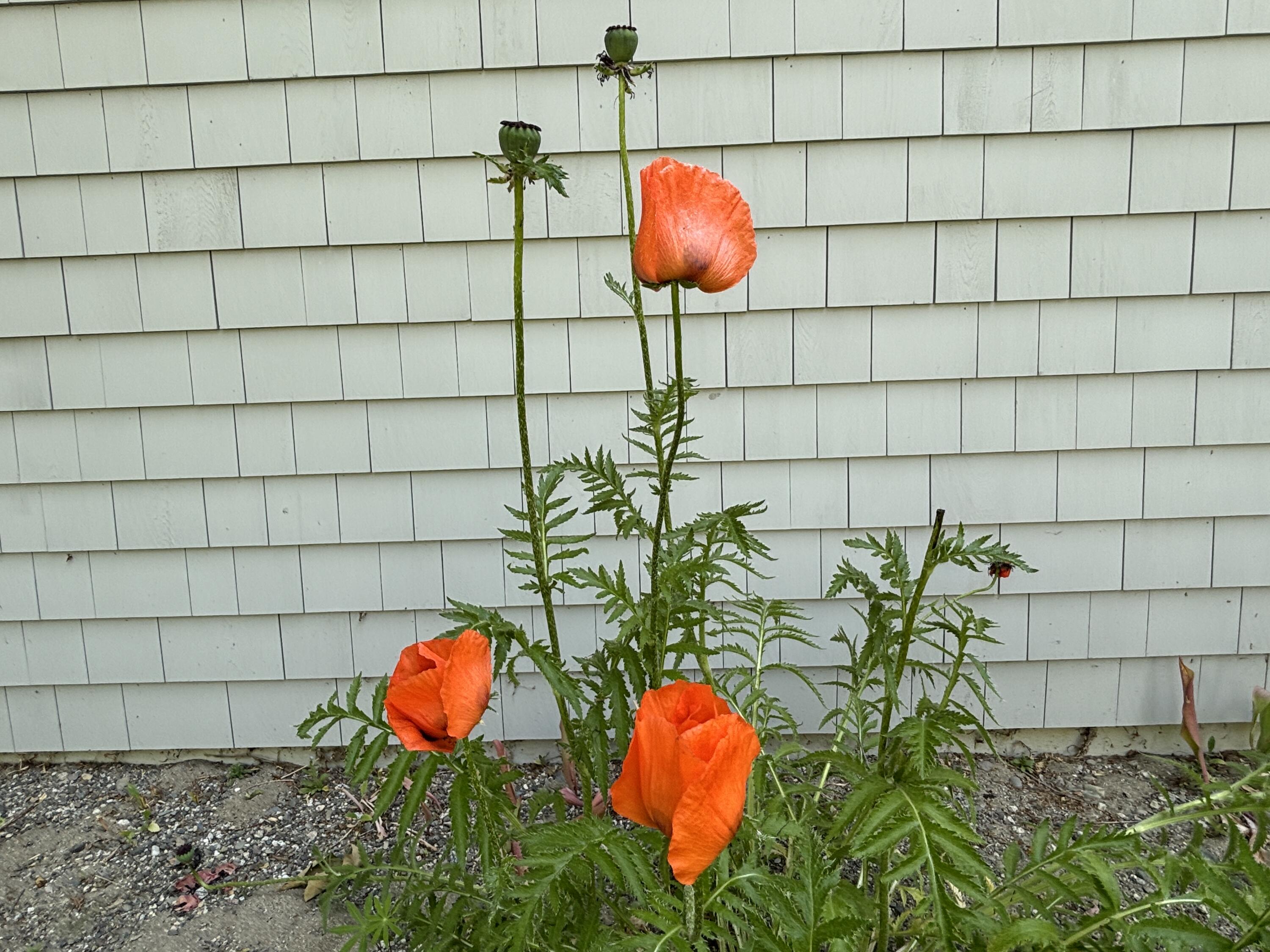 main property photo 66