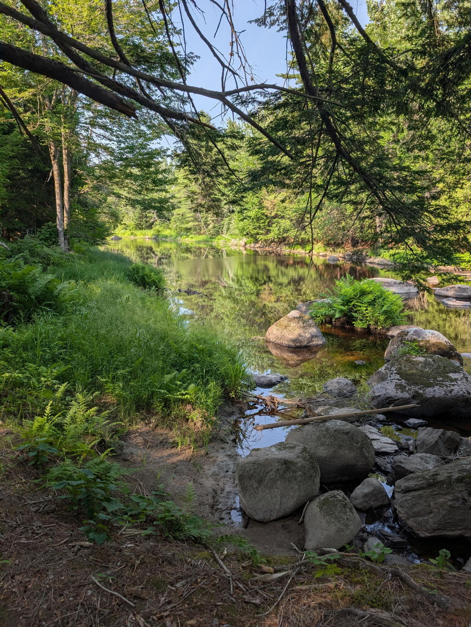 main property photo 28