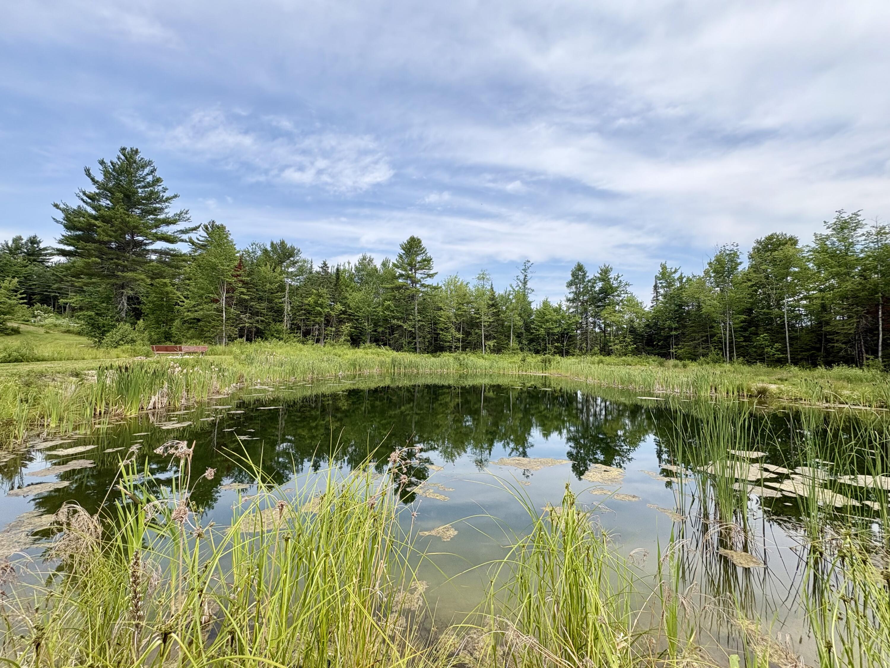 main property photo 38