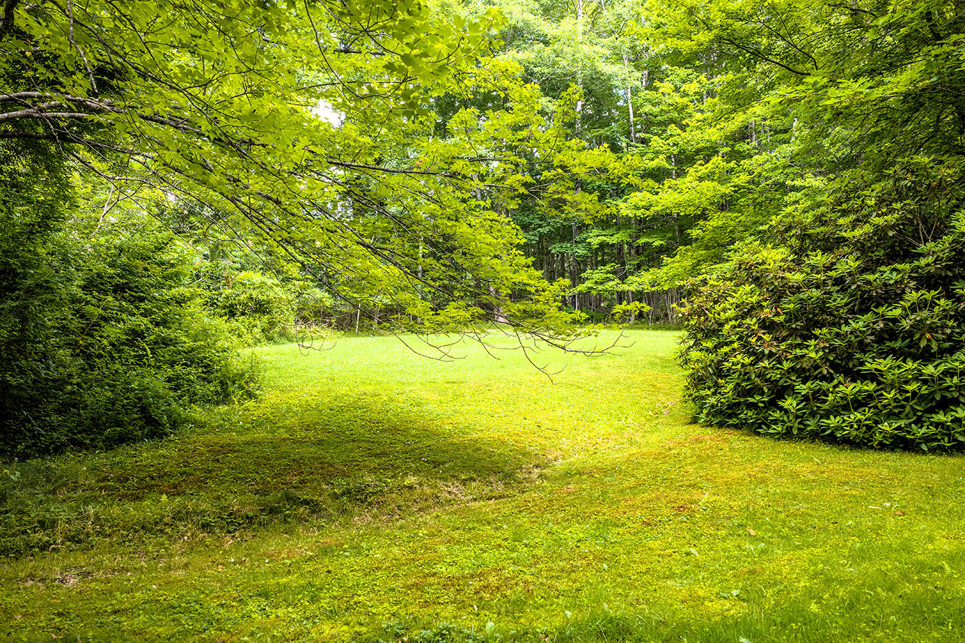 main property photo 32