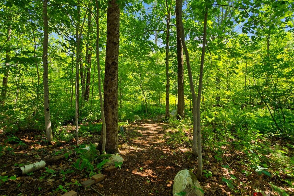 main property photo 87