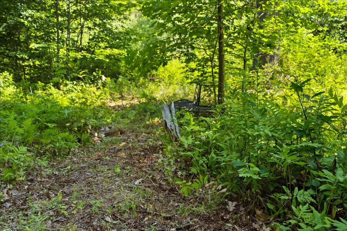 main property photo 90