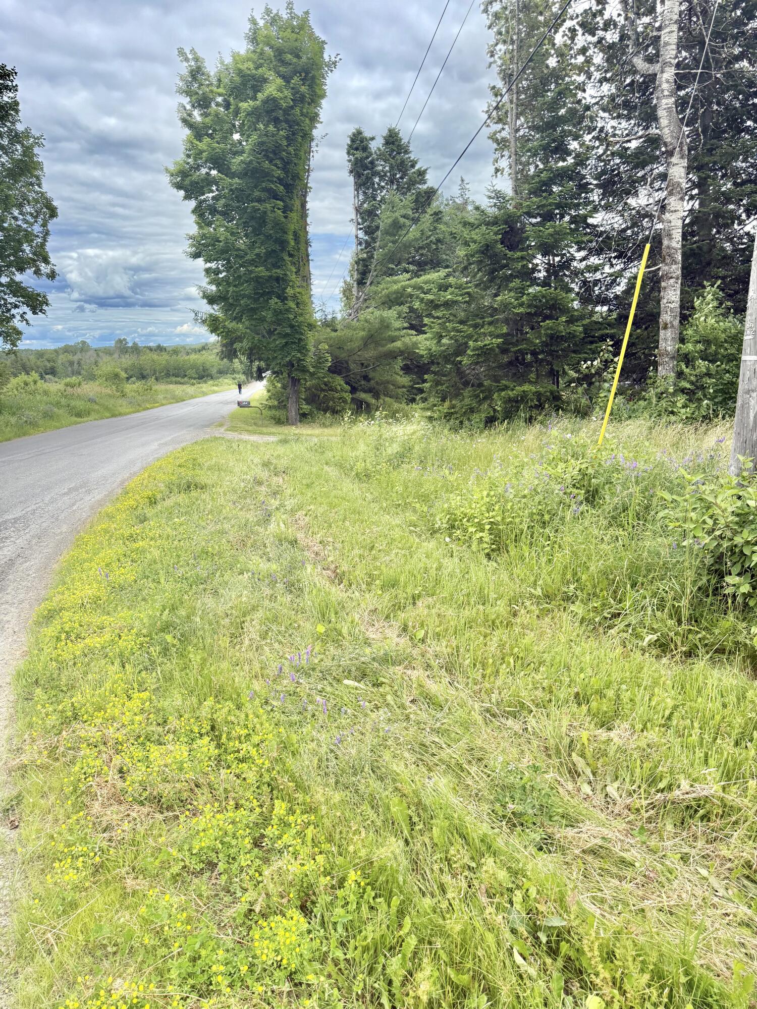 main property photo 10