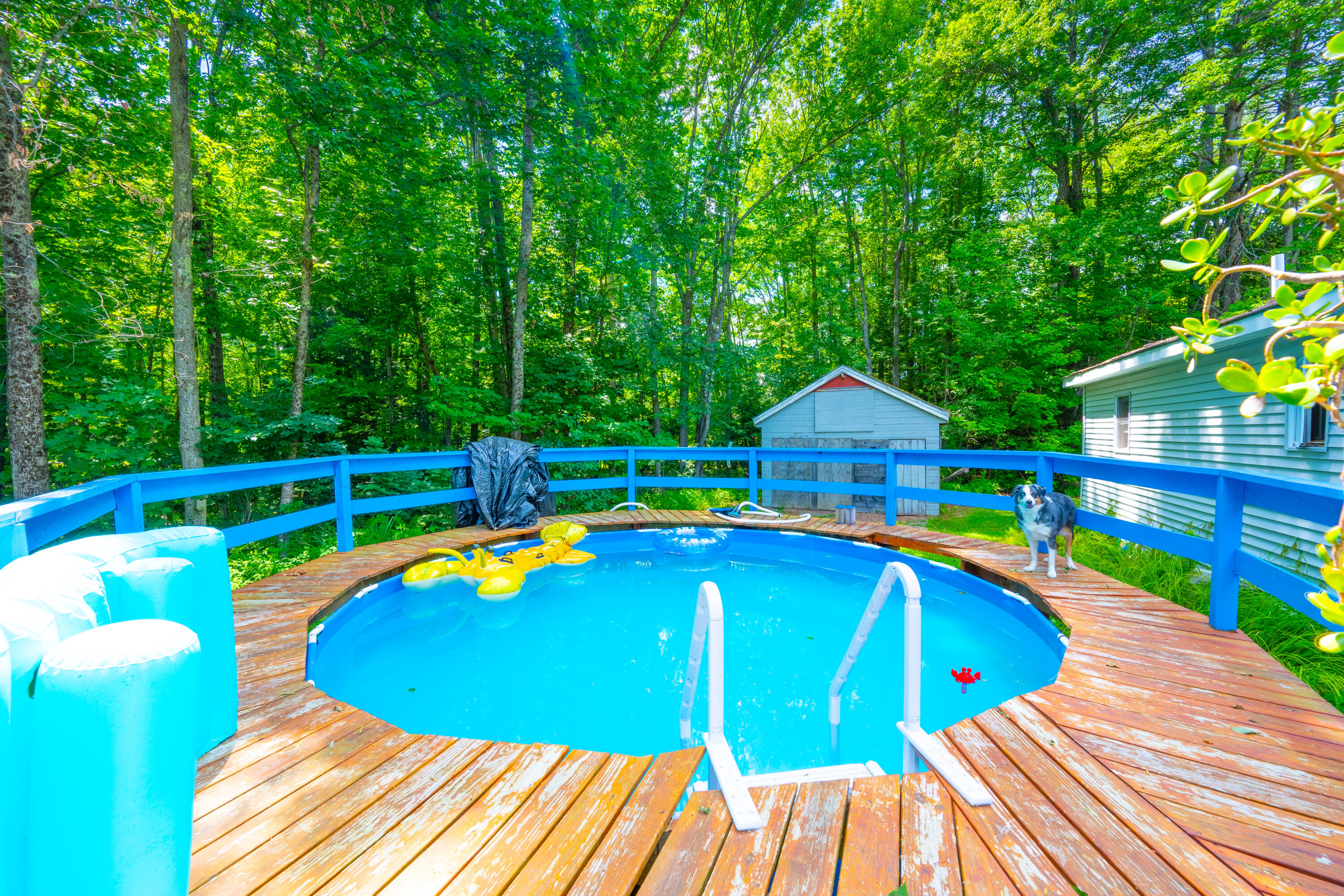 main property photo 4