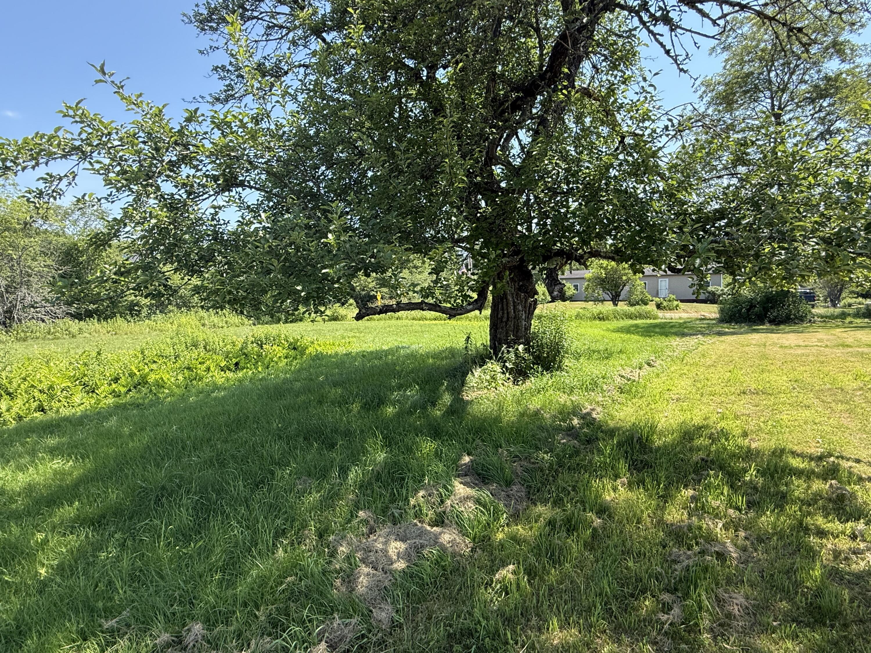 main property photo 11