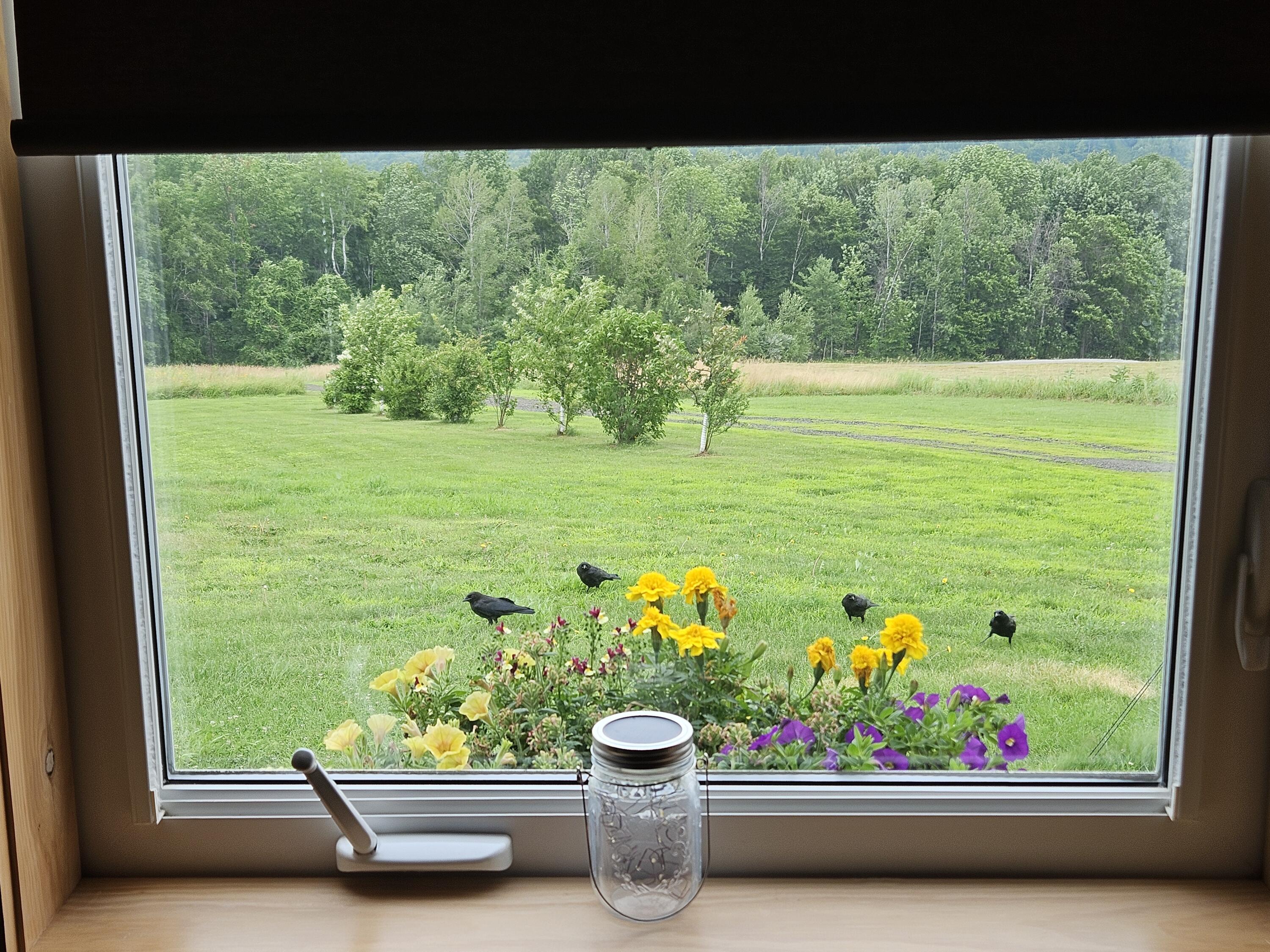 main property photo 64