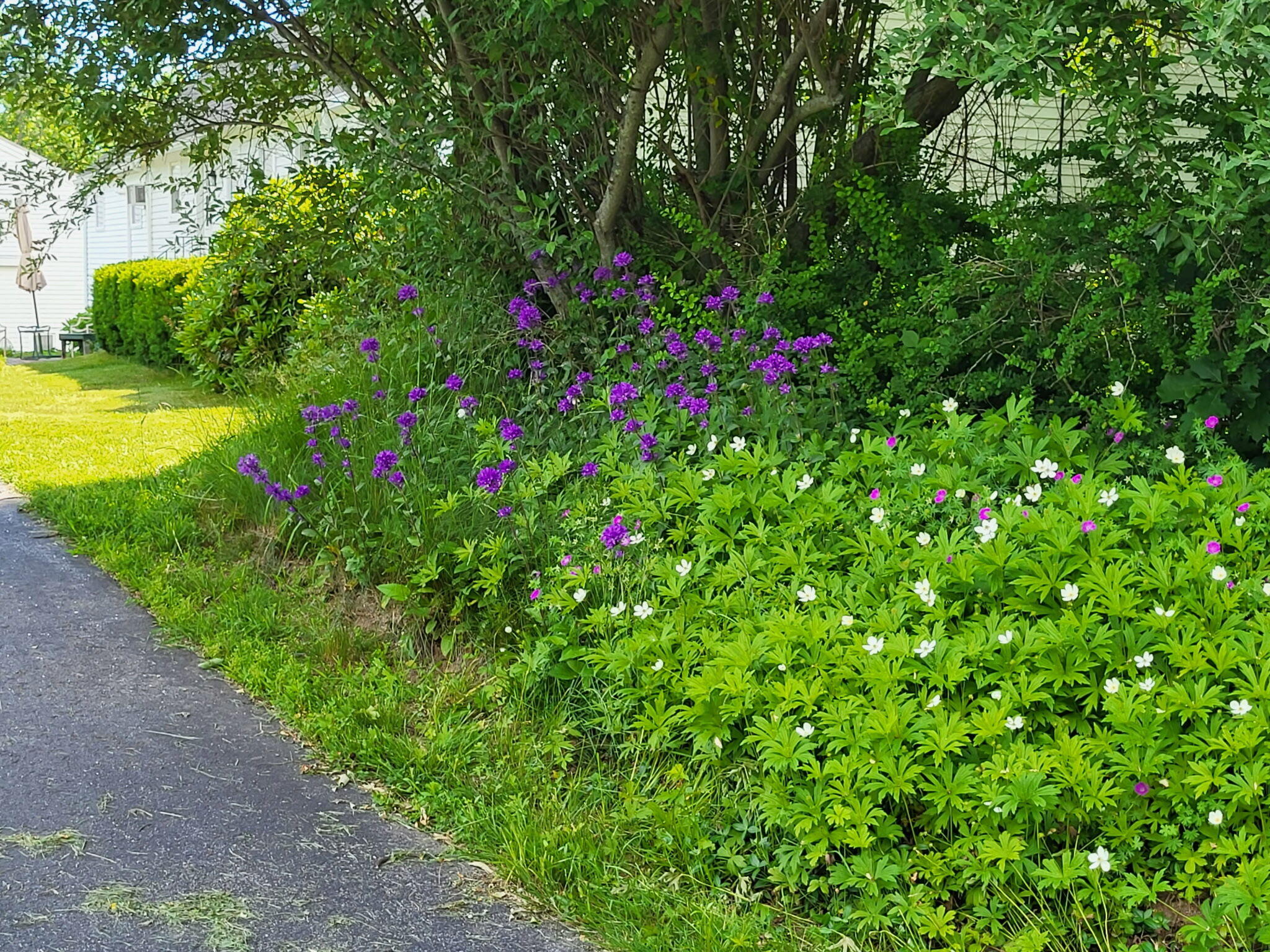 main property photo 81