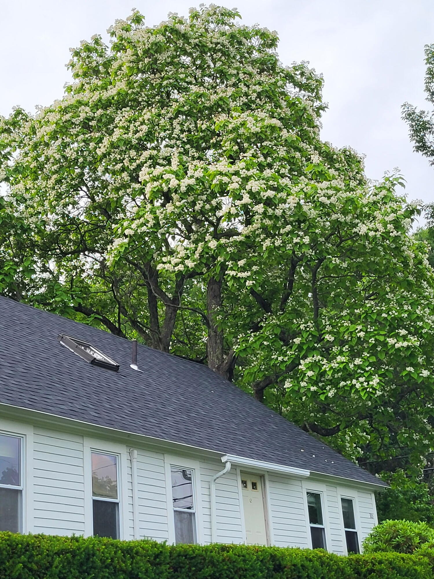 main property photo 83