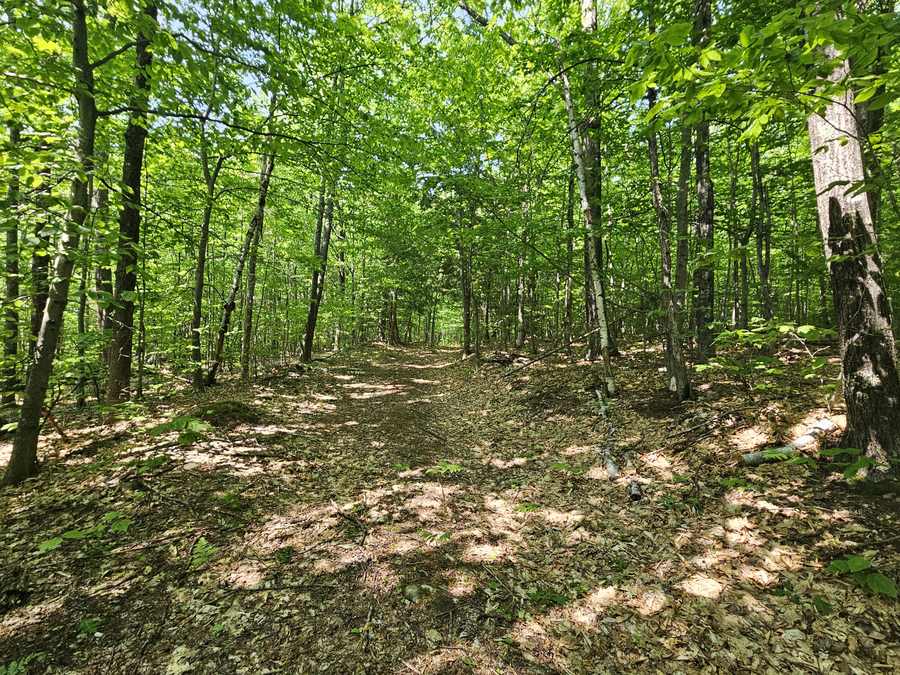 main property photo 57