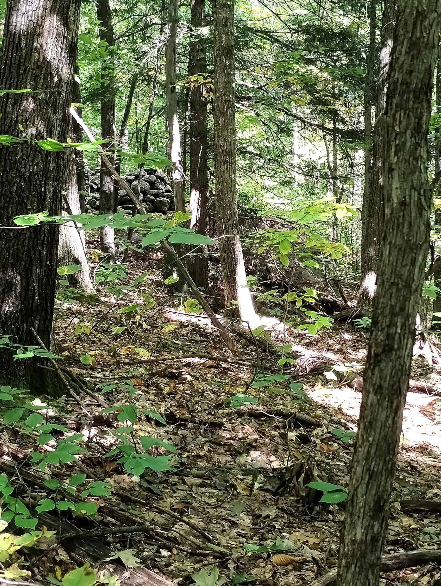 main property photo 66