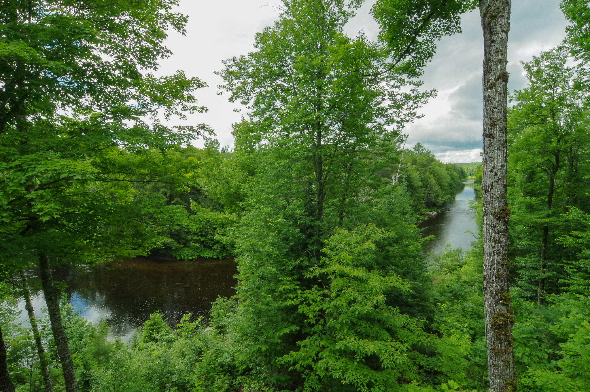 main property photo 68