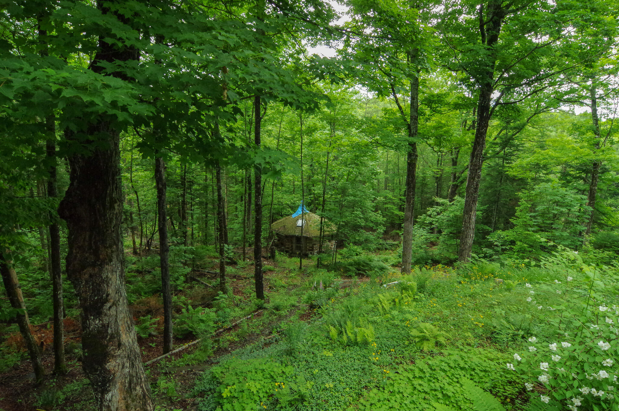 main property photo 79