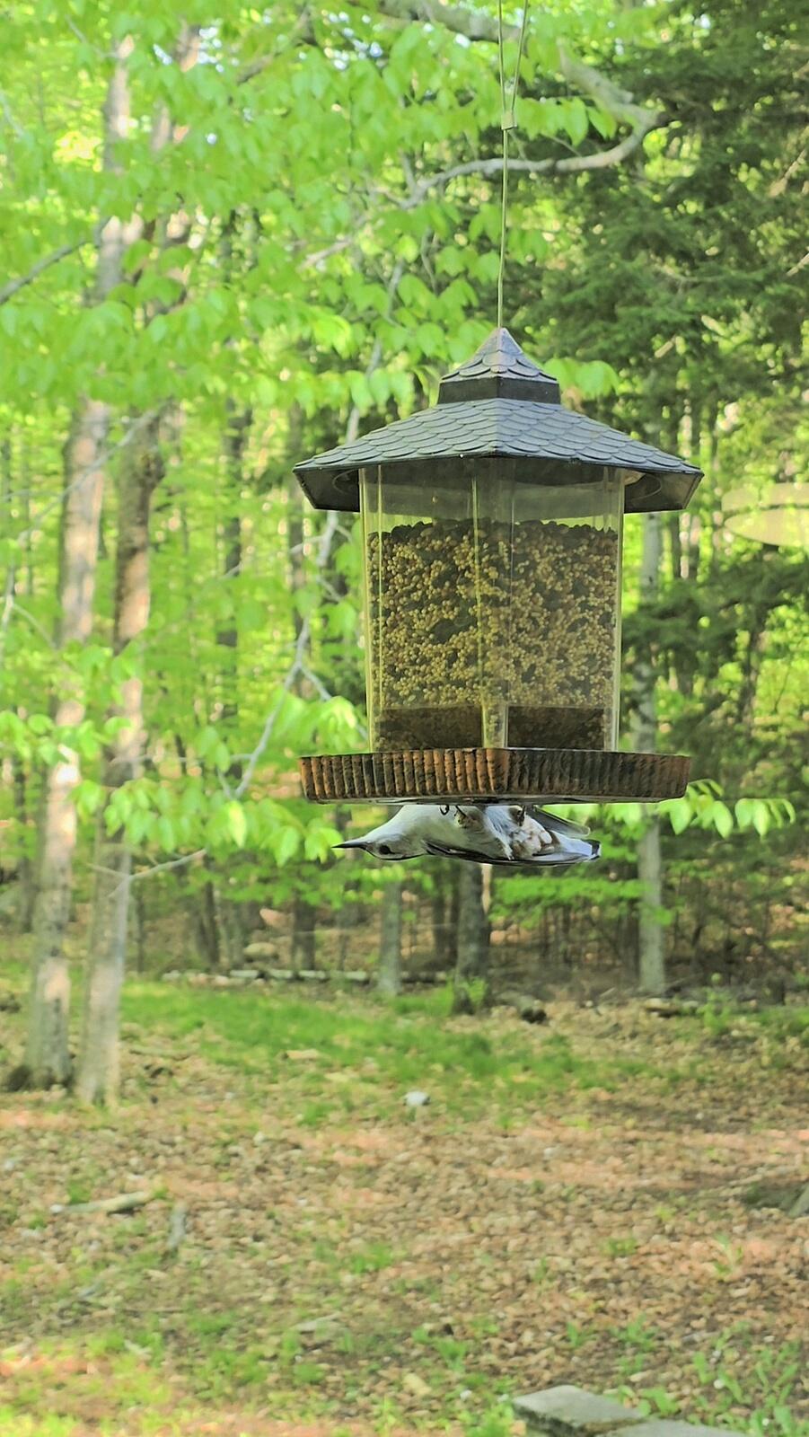 main property photo 72