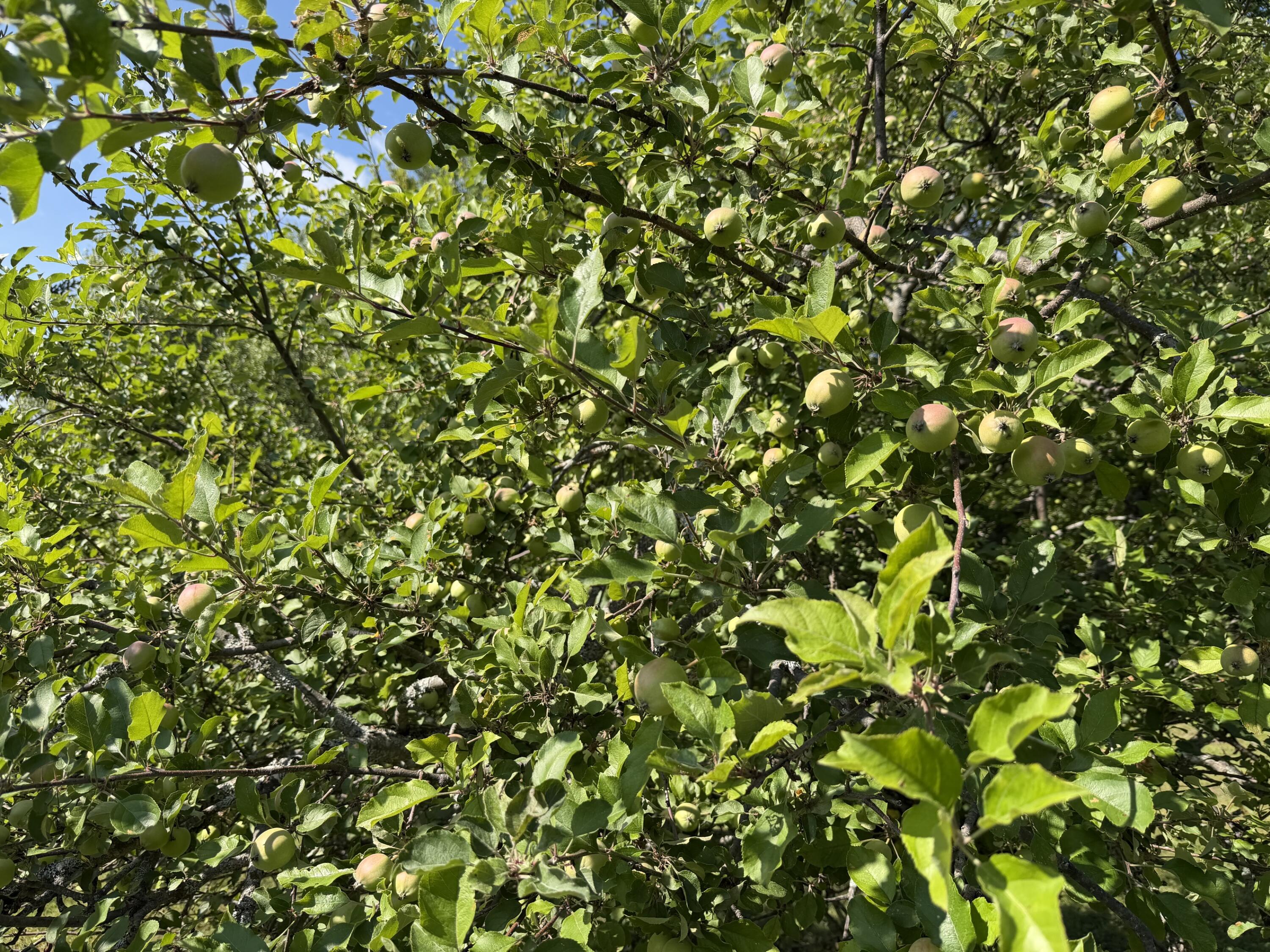 main property photo 23