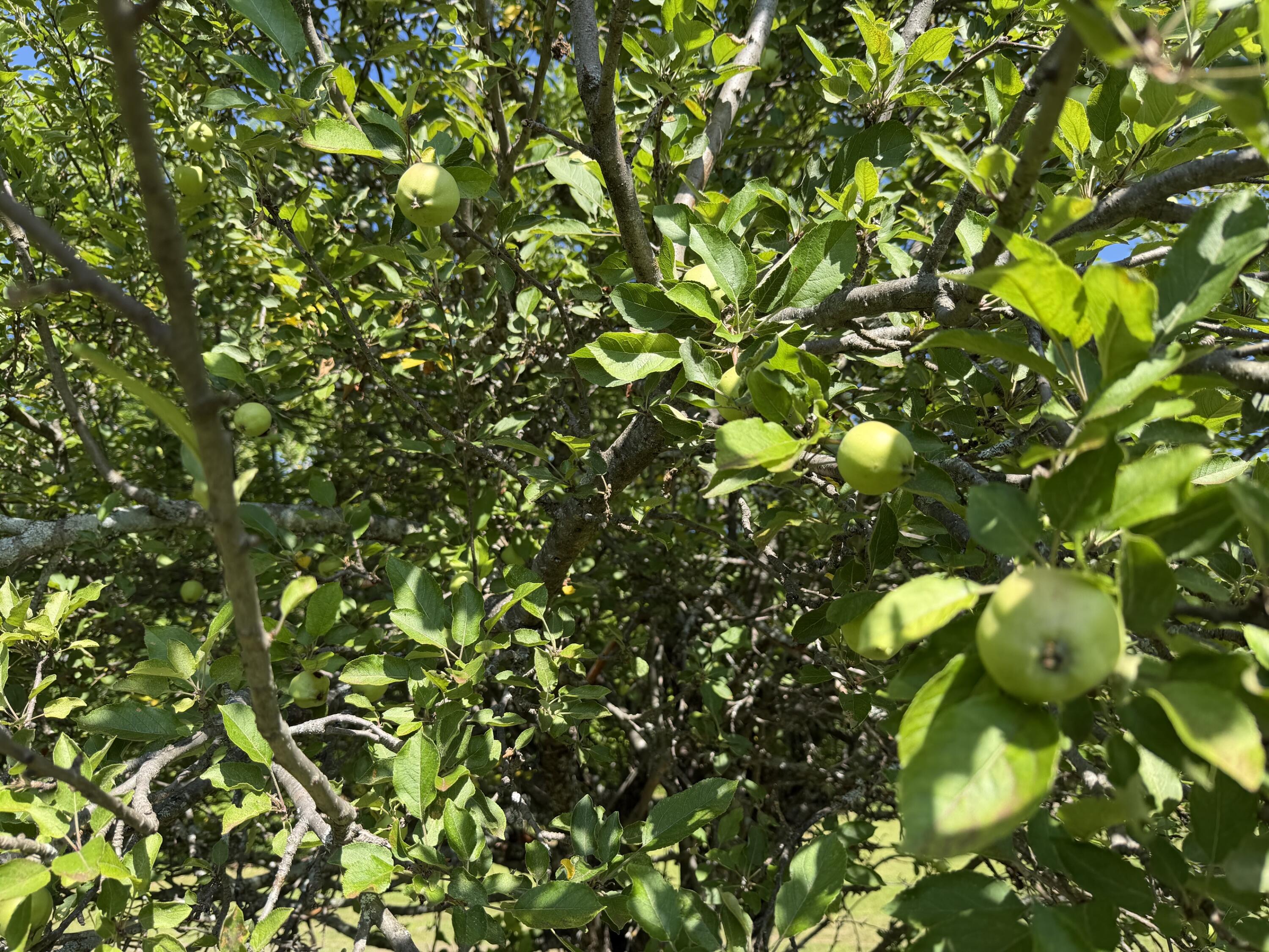 main property photo 24