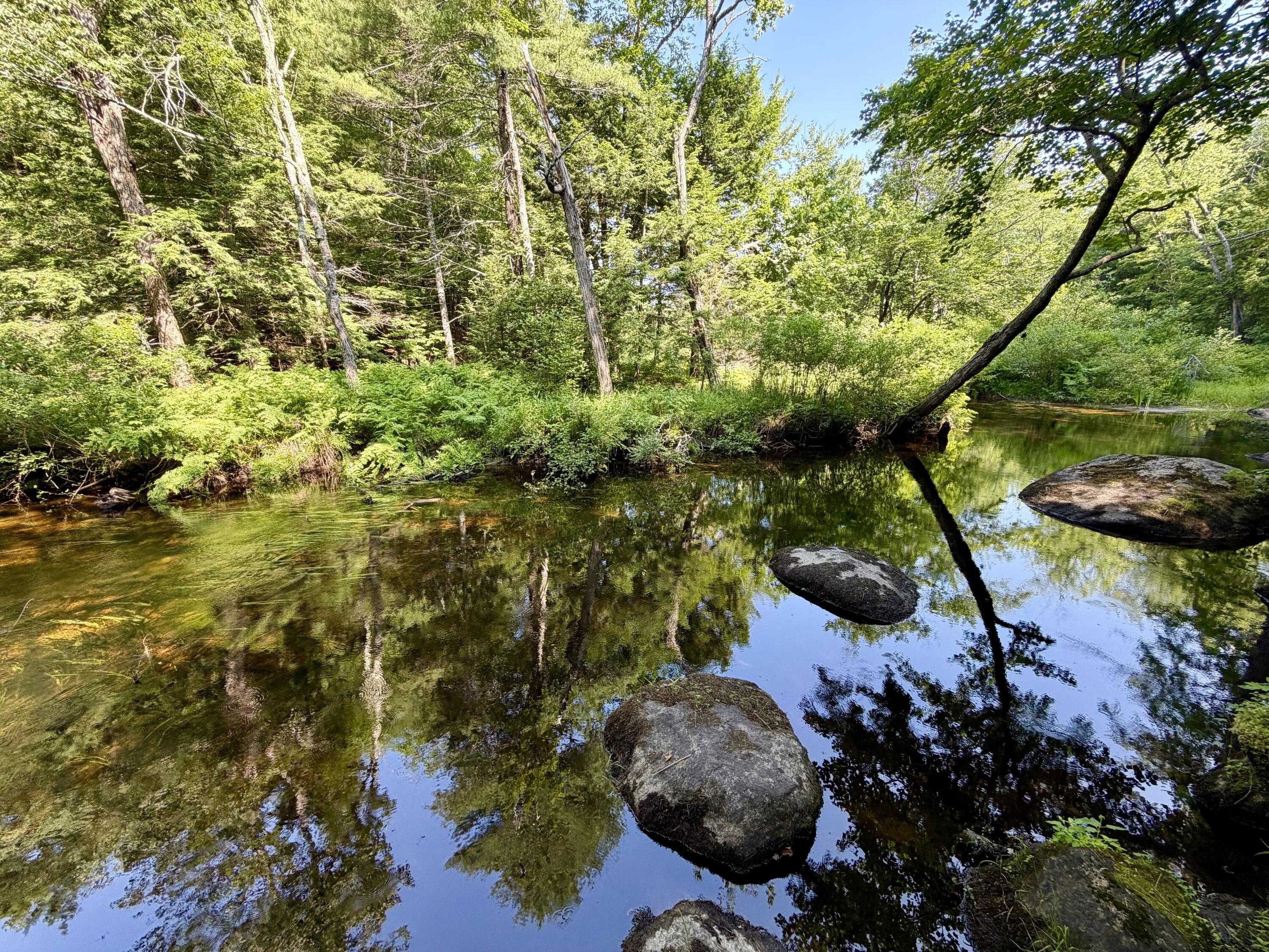 main property photo 43