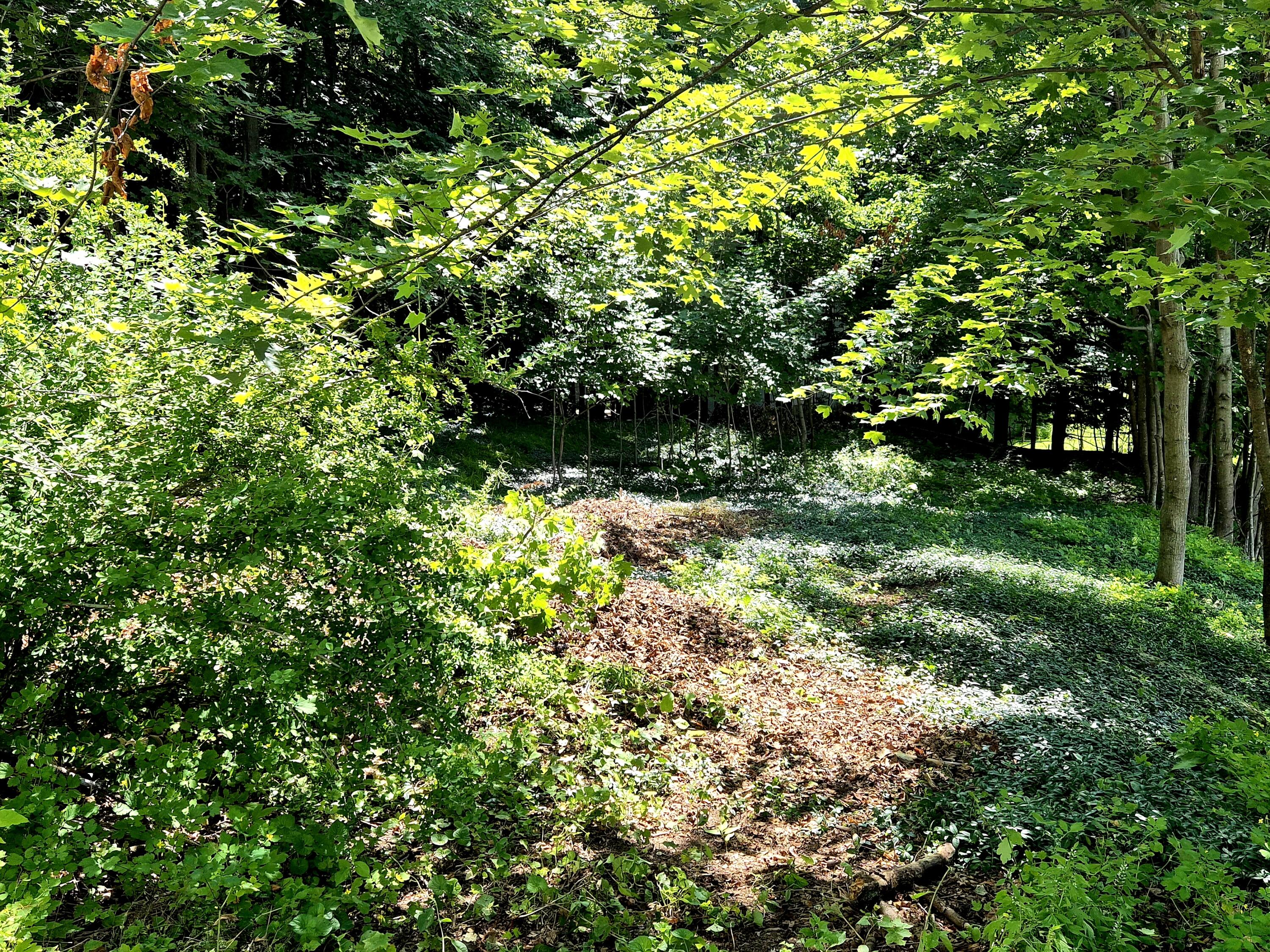 main property photo 57