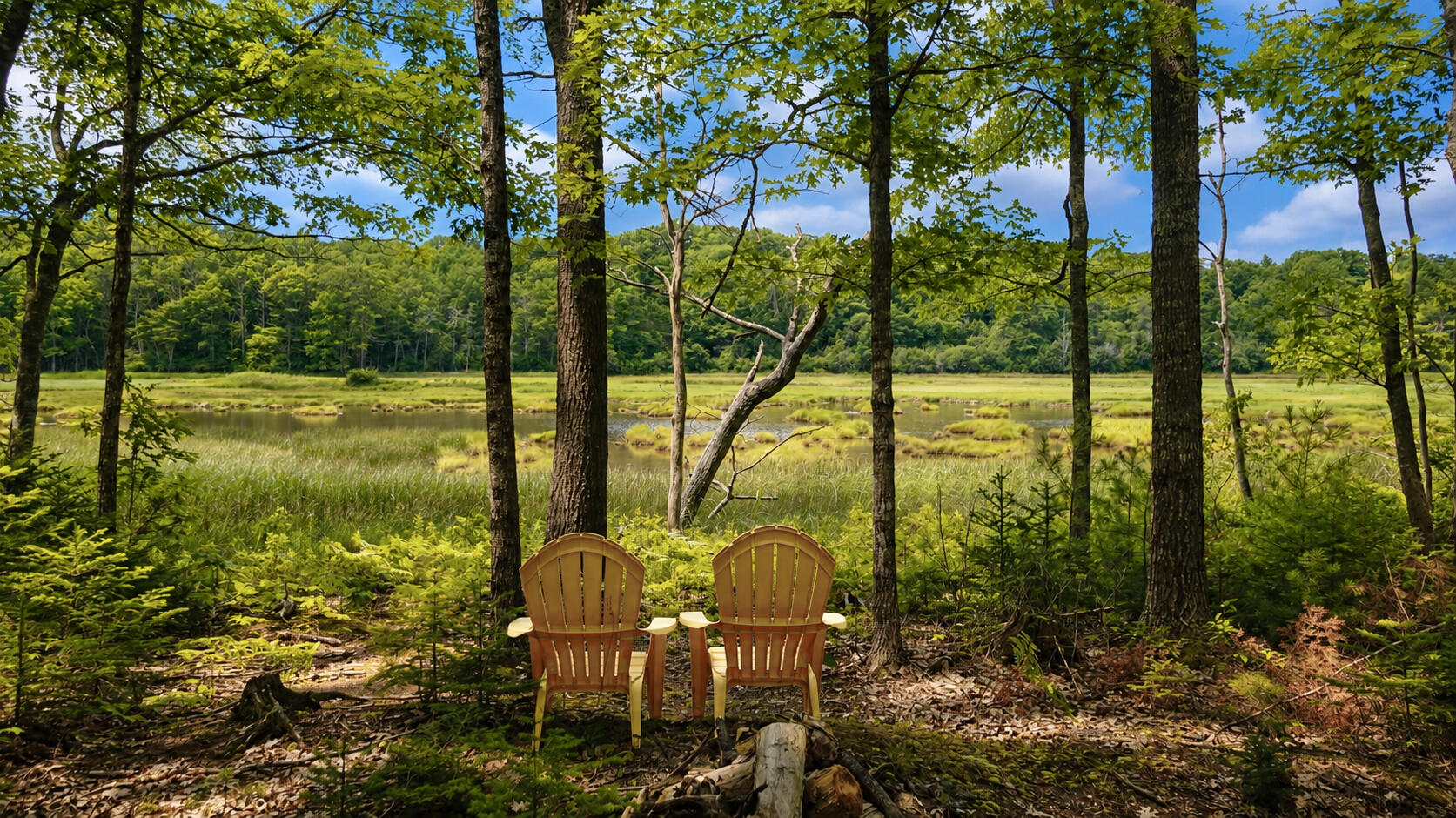 main property photo 112