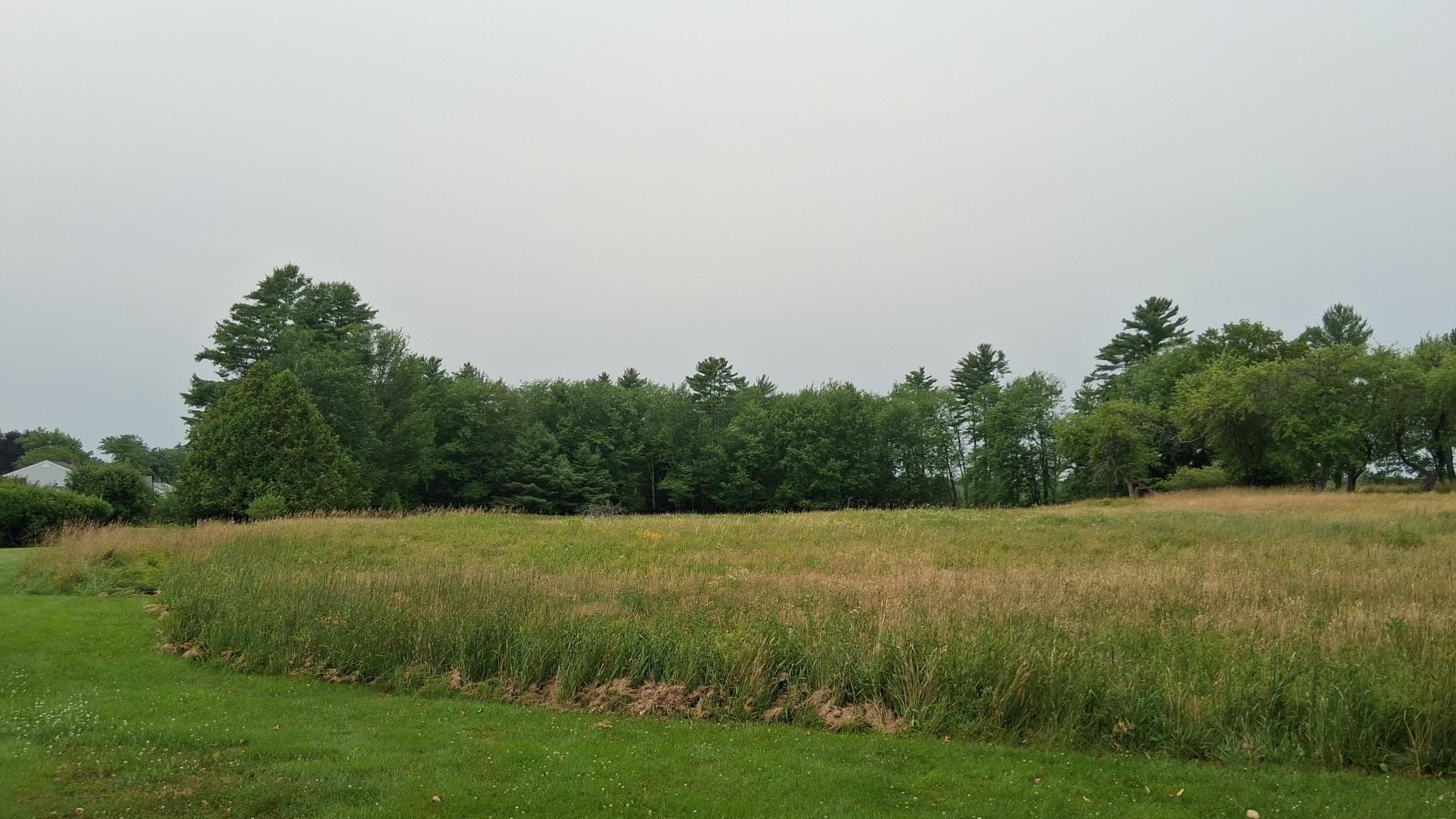 main property photo 68